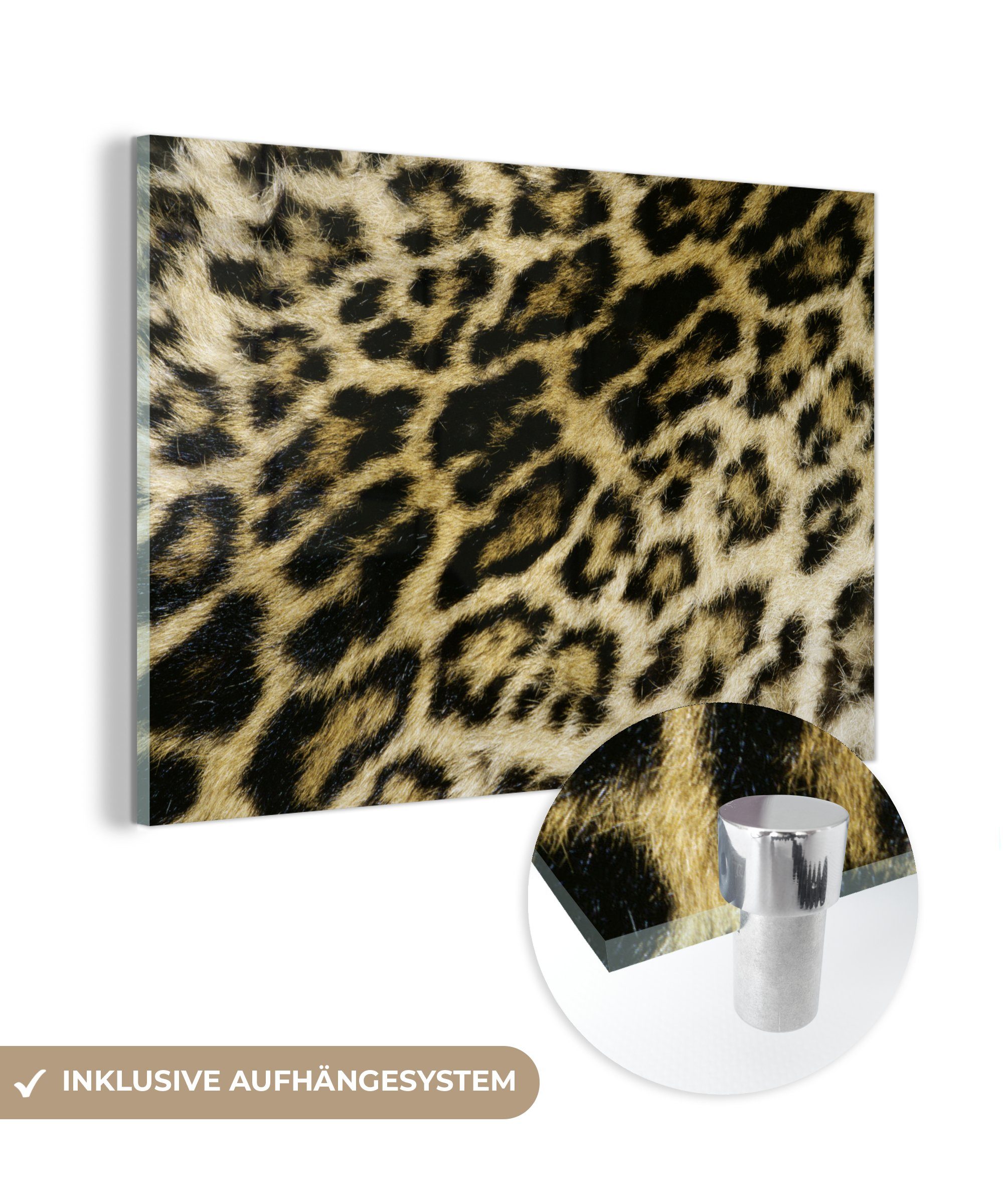MuchoWow Acrylglasbild Leopard - Fell - Haar, (1 St), Acrylglasbilder Wohnzimmer & Schlafzimmer