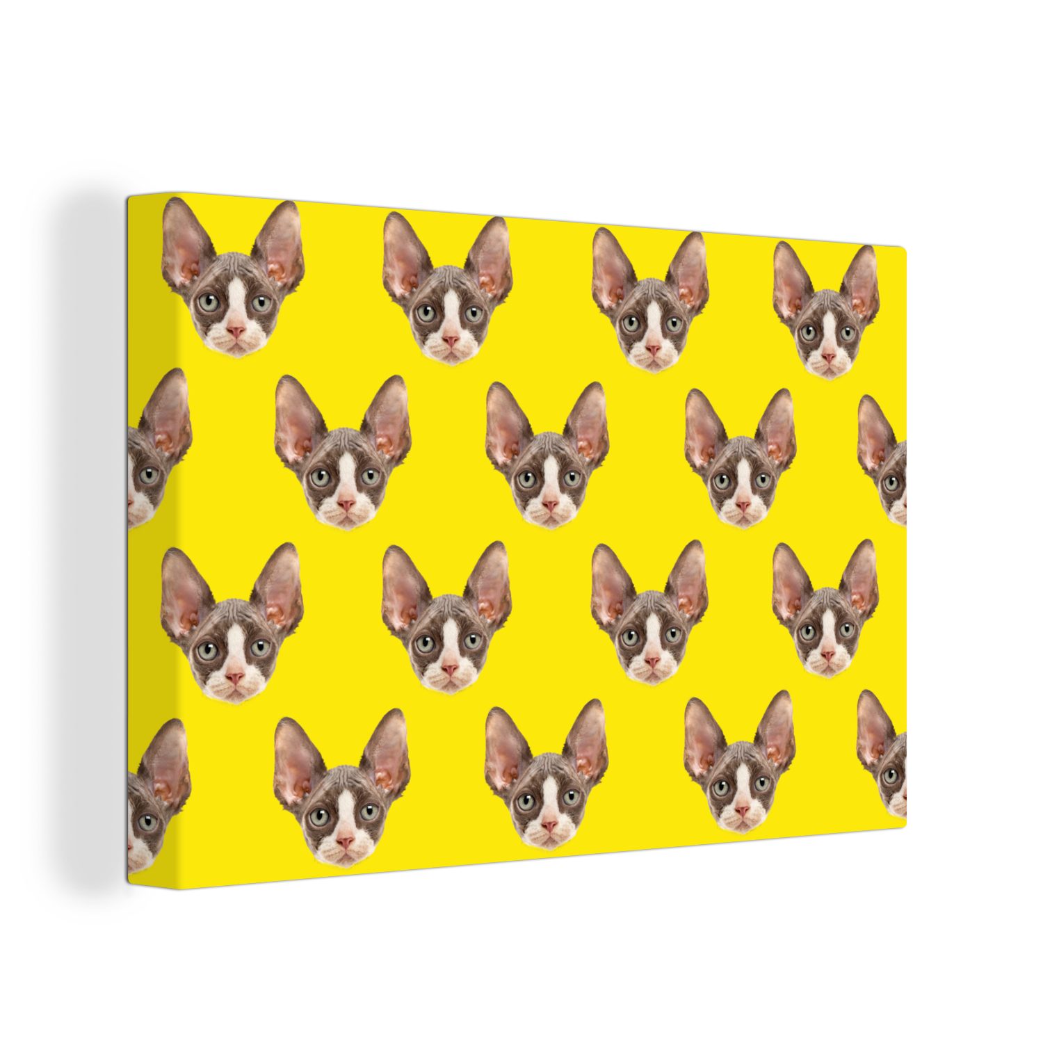 Leinwandbilder, - Leinwandbild Haustiere OneMillionCanvasses® Wanddeko, St), Aufhängefertig, 30x20 - cm (1 Gelb, Muster Wandbild