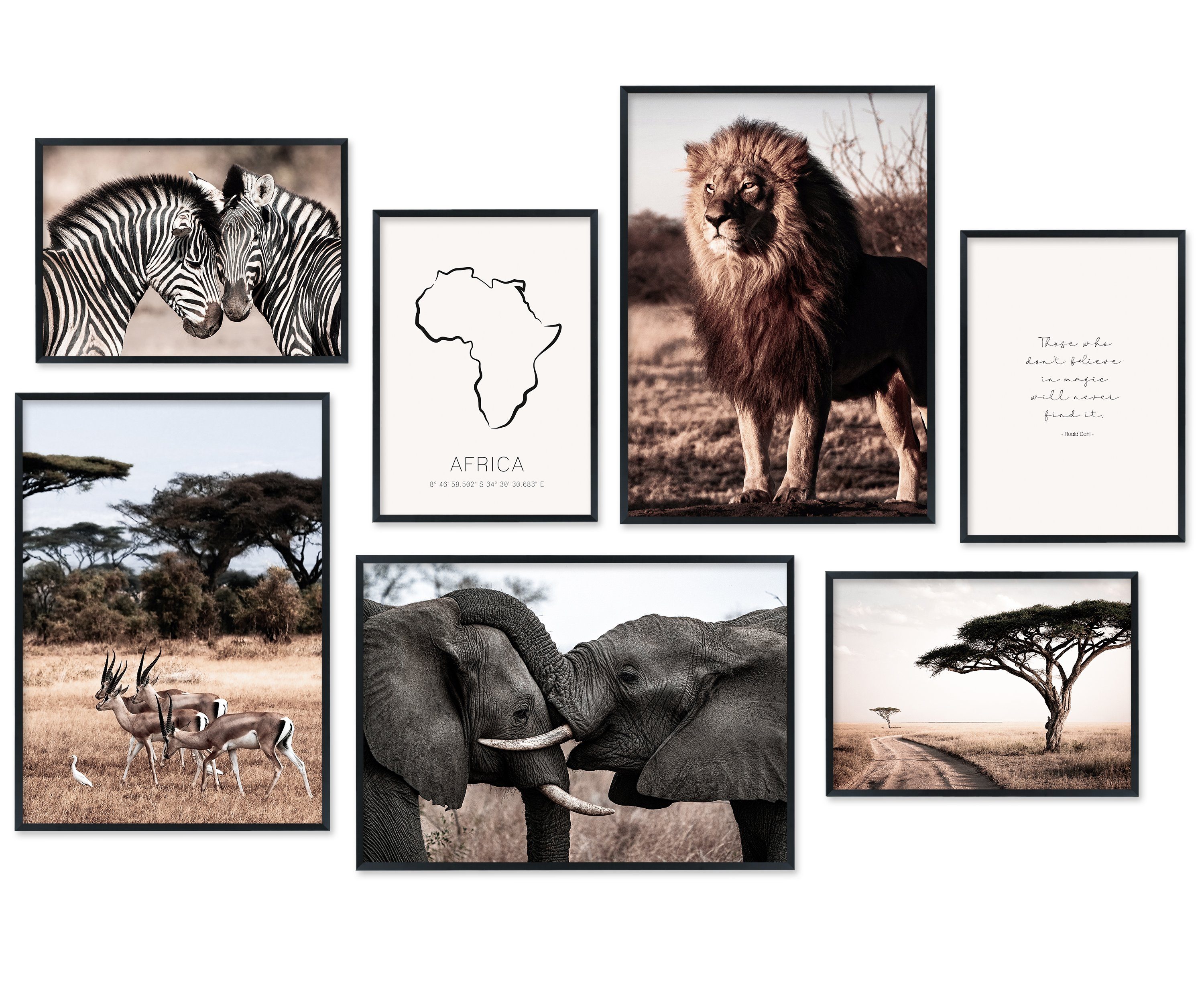 Hyggelig Home Poster Tiere Afrikas, Premium Poster Set OHNE & MIT Rahmen, W günstig online kaufen