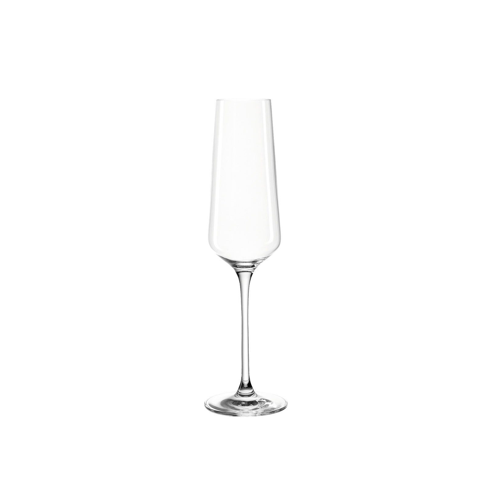 LEONARDO Sektglas Puccini Sektgläser 280 ml 12er Set, 12-tlg., Glas