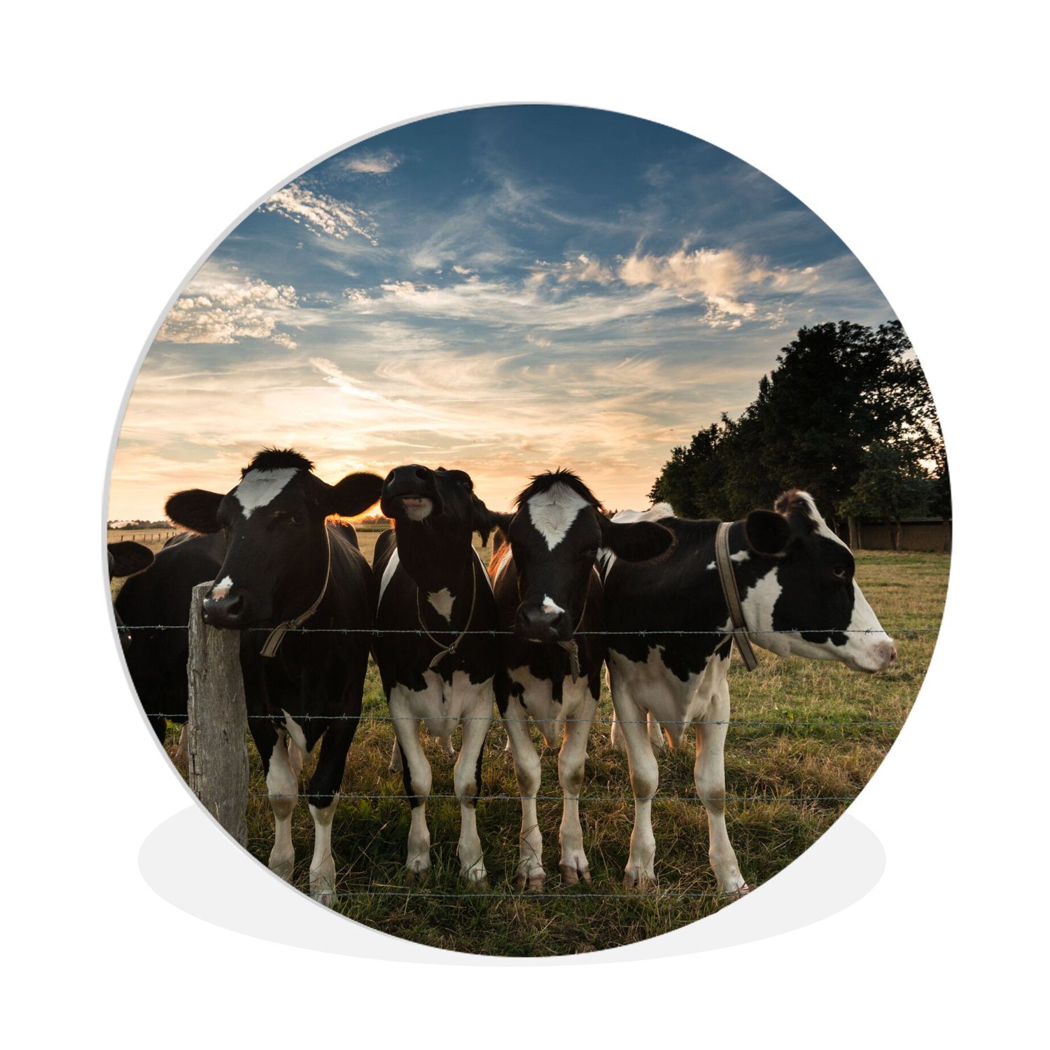 Gemälde Tiere - Kuh