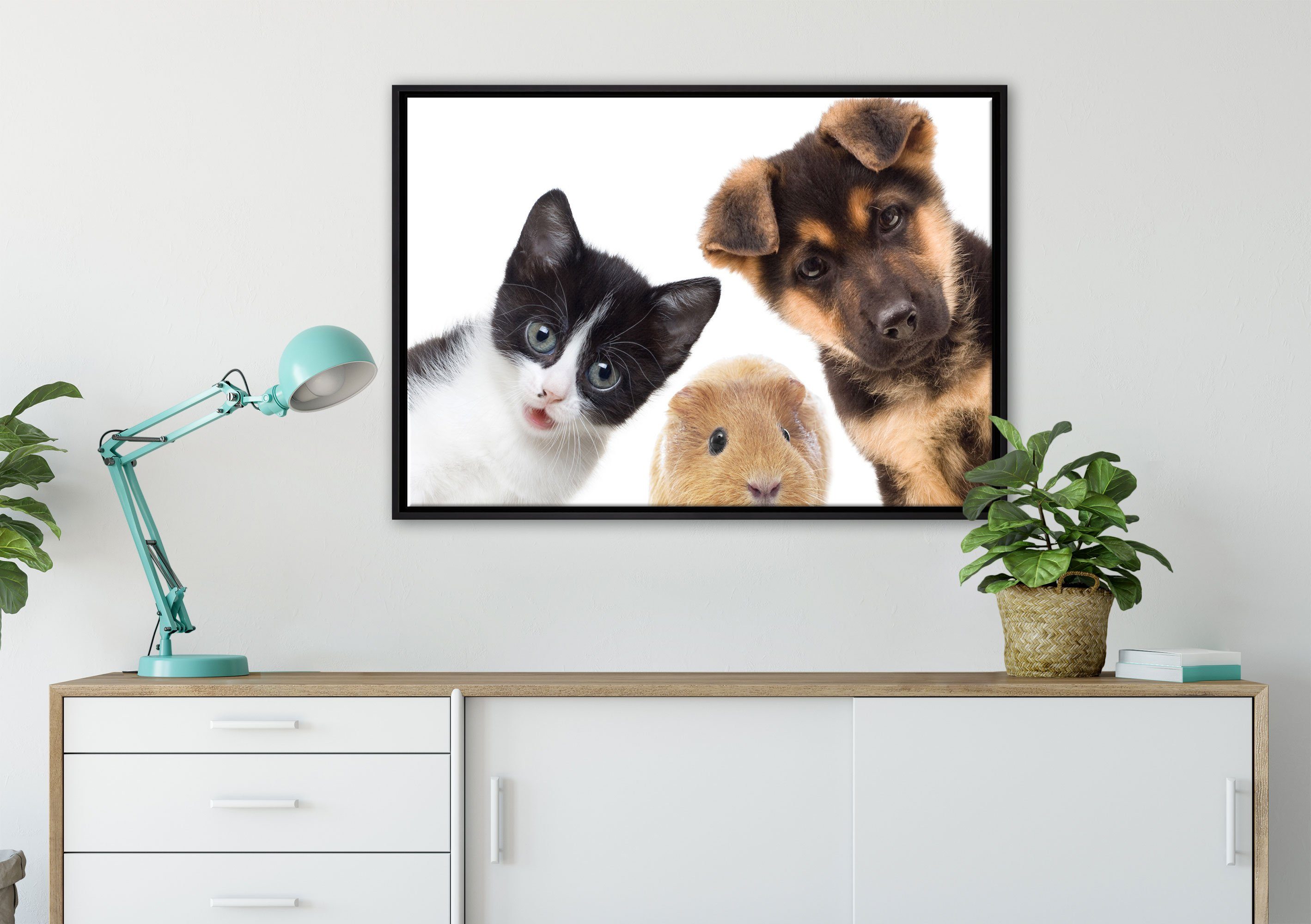 Pixxprint Leinwandbild Trio Hund Katze bespannt, Leinwandbild in Zackenaufhänger einem Wanddekoration Schattenfugen-Bilderrahmen gefasst, Meerschwein, (1 fertig St), inkl