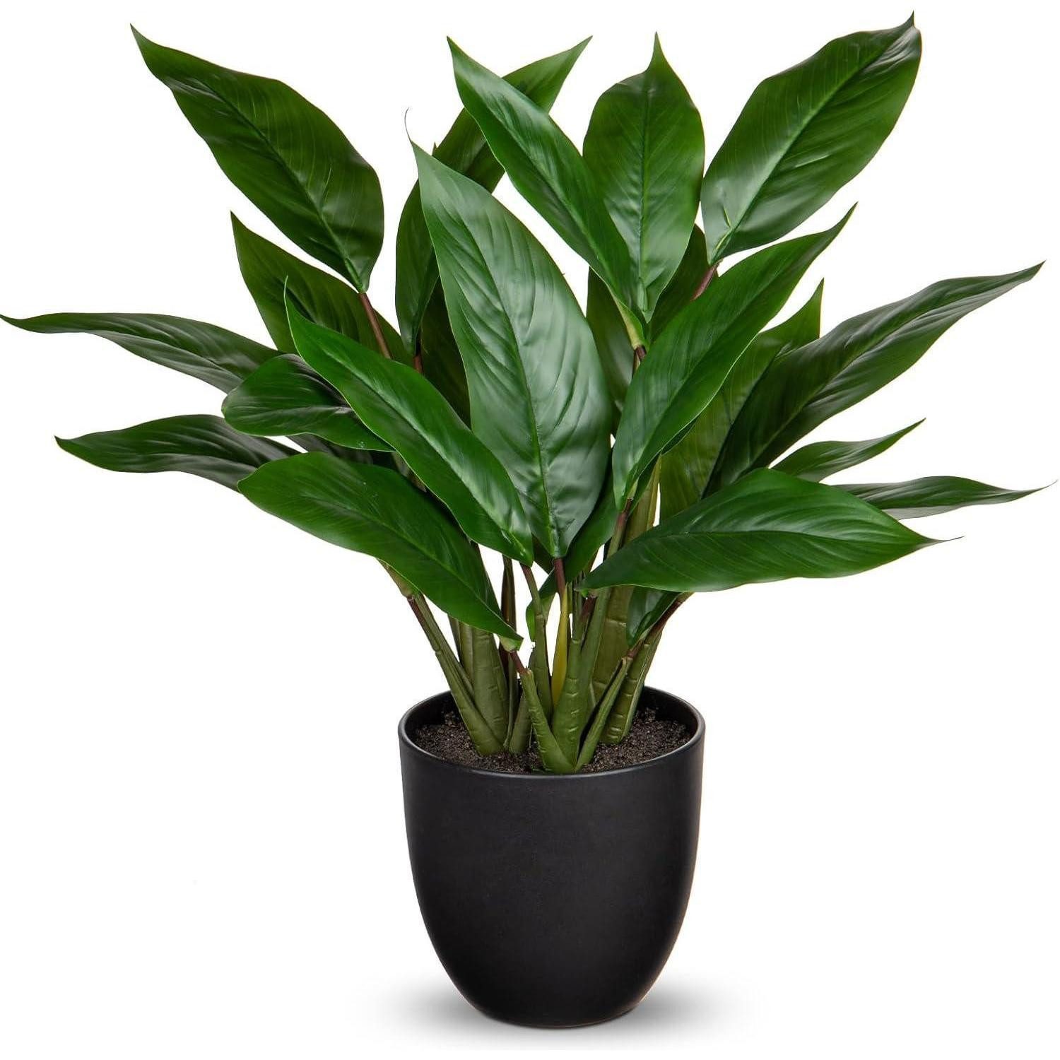 Künstliche Zimmerpflanze Künstliche Calathea Dekopflanze 43cm Kunststofftopf 22 Blätter Grün, Briful
