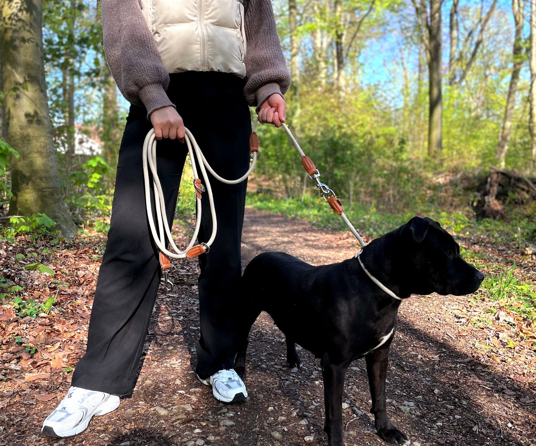 Leisegrün Hundeleine Hundeleine große Hunde Führleine 3m verstellbar mit 2 Karabiner, Nylon