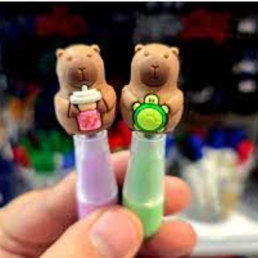 suebidou Marker Witzige Textmarker im Capybara Stil 6-Stk-Set, nachhaltig, kreativ