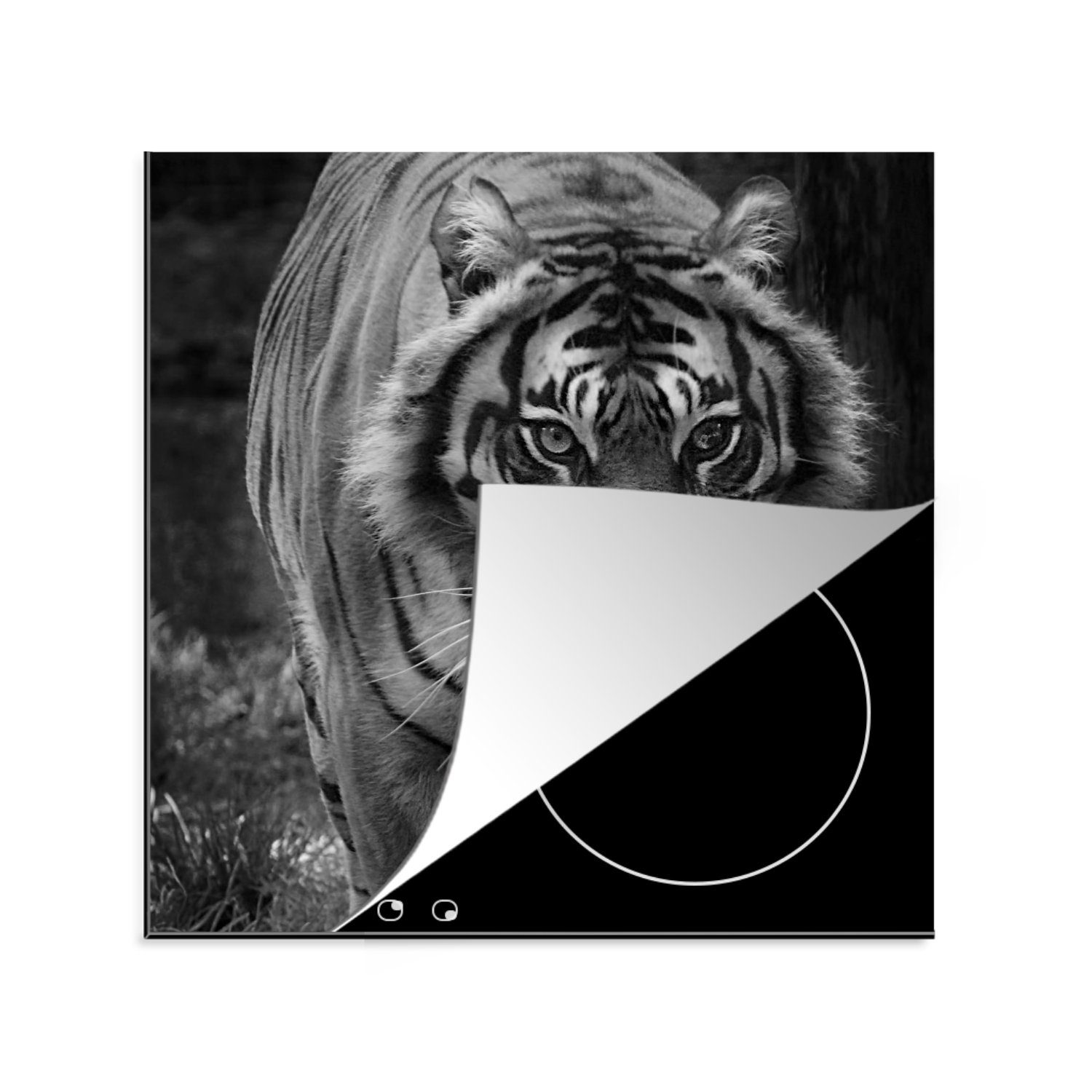 MuchoWow Herdblende-/Abdeckplatte Tiger - Gras - Wilde Tiere, Vinyl, (1 tlg), 78x78 cm, Ceranfeldabdeckung, Arbeitsplatte für küche