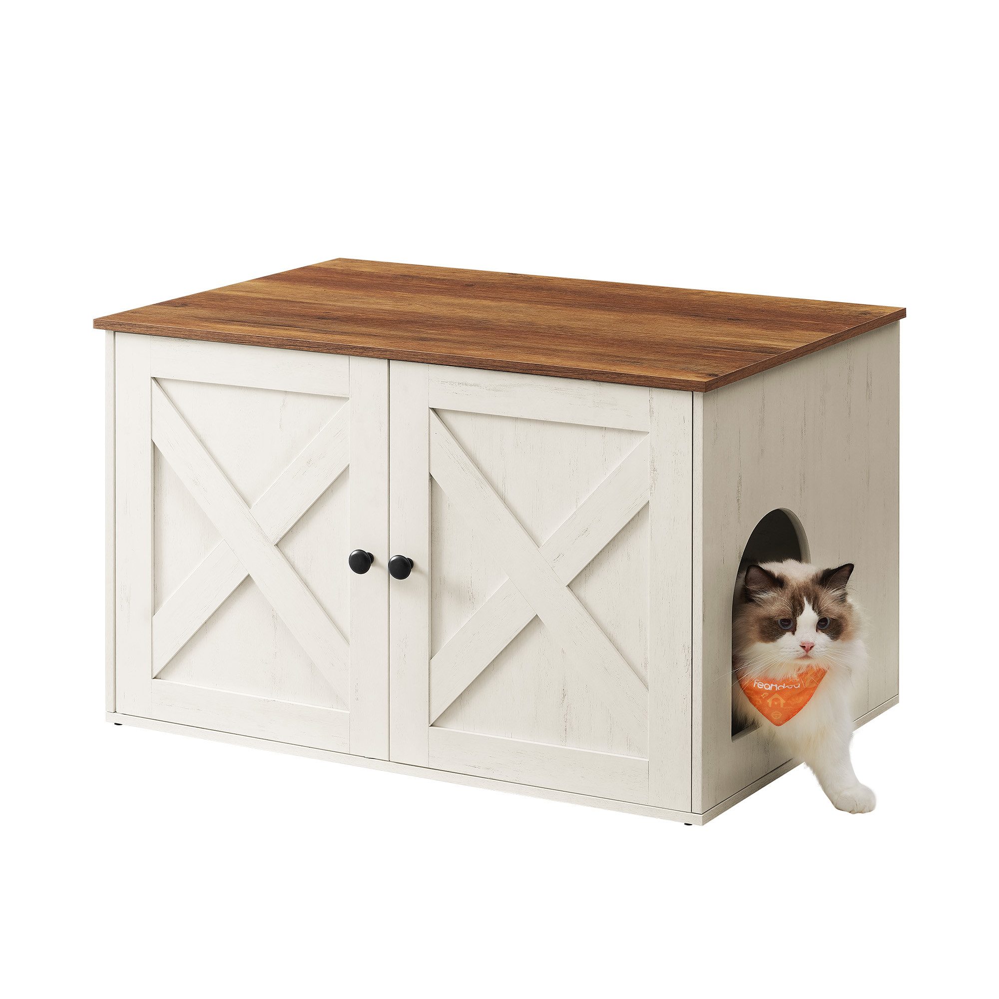 Katzentoilette
