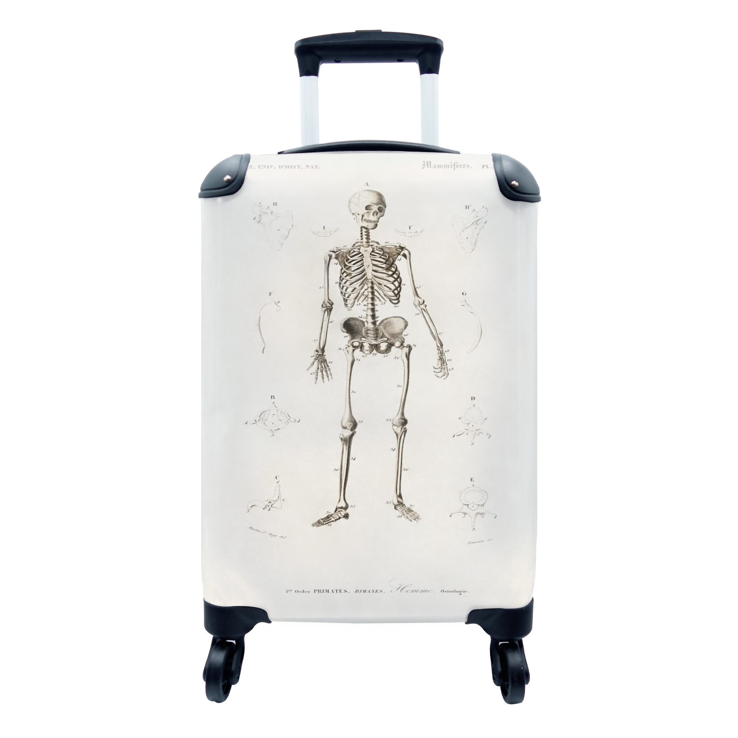 MuchoWow Handgepäckkoffer Skelett - Jahrgang - Knochen, 4 Rollen, Reisetasche mit rollen, Handgepäck für Ferien, Trolley, Reisekoffer