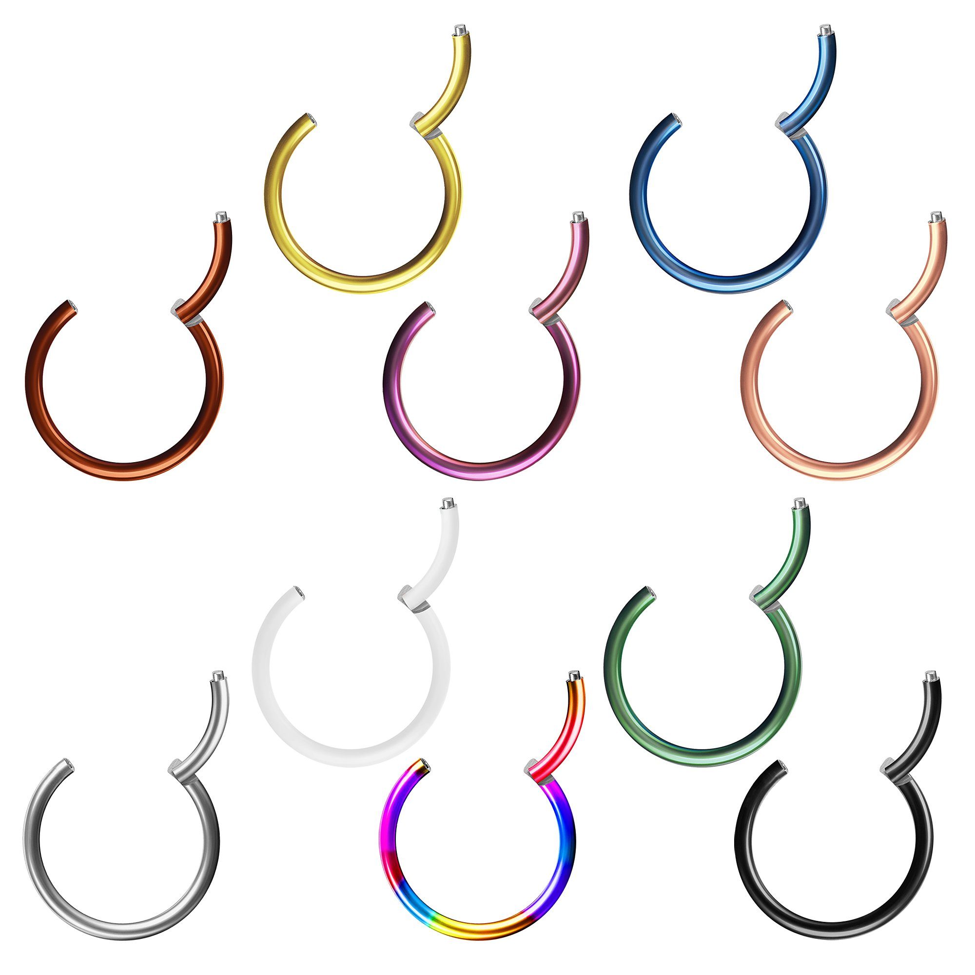 Taffstyle oder Lippe Lila Ring Segmentring Nasenpiercing Titan Segment Ohr Scharnier Nase Chirurgenstahl, Augenbrauen Septum Klicker Brust G23 Piercing