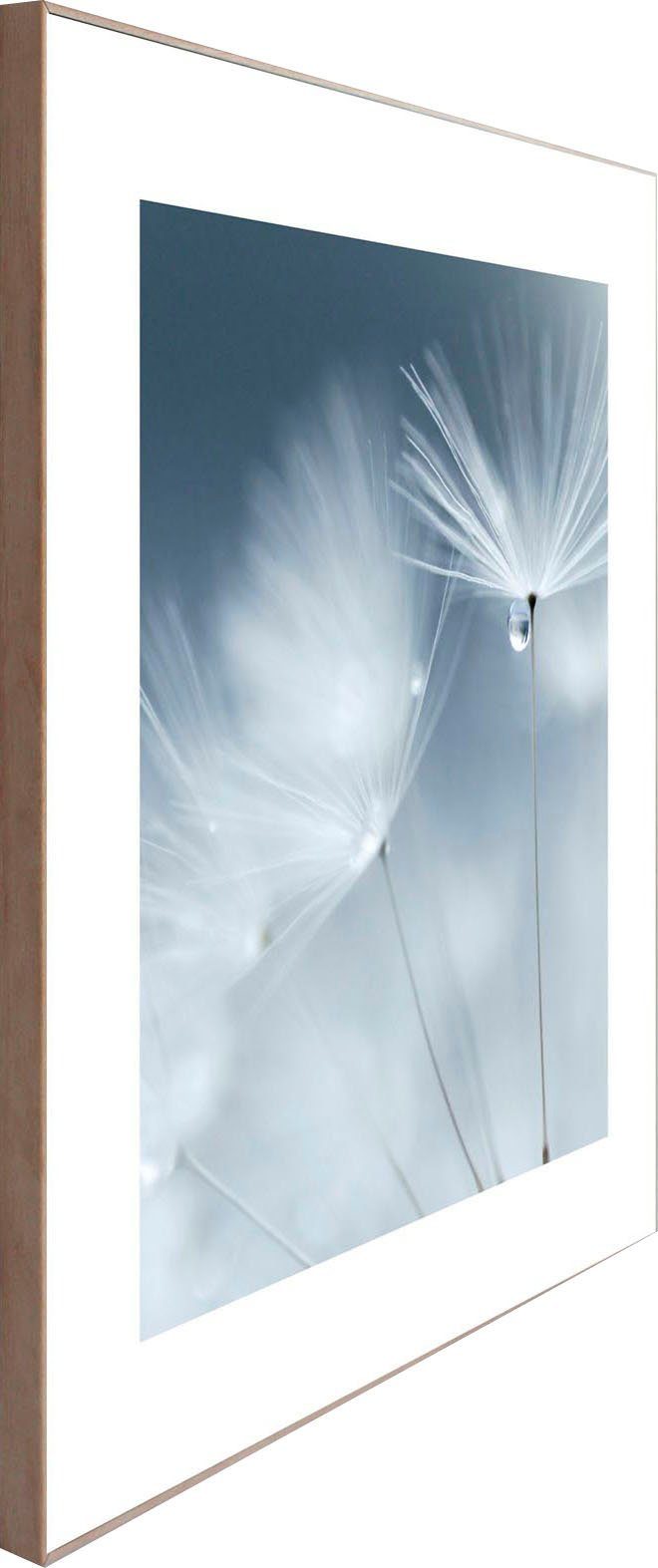 Reinders! Wandbild Slim Wood Frame 50x50 Dandelion Dewdrop