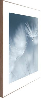 Reinders! Wandbild Slim Frame Wood 50x50 Dewdrop Dandelion
