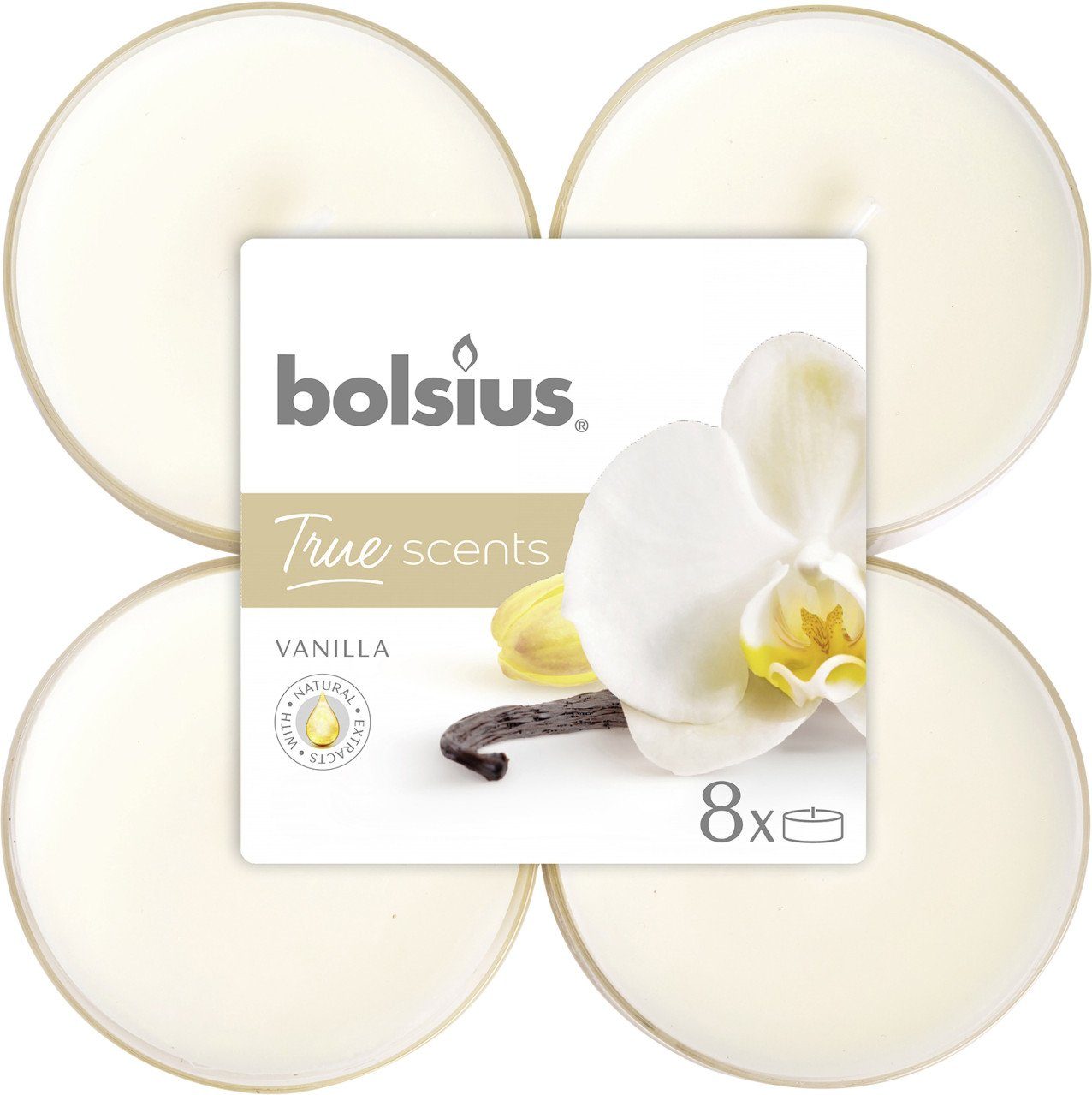 Bolsius Teelicht Bolsius Duftteelichter Maxi Vanille, günstig online kaufen
