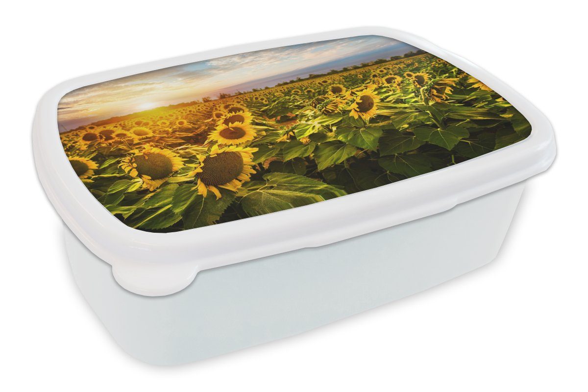 und Brotbox (2-tlg), Brotdose, MuchoWow für Kinder Lunchbox und weiß für Erwachsene, Kunststoff, Jungs - Himmel, - Mädchen Sonnenblume Blumen