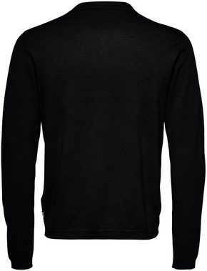 ONLY & SONS Polokragenpullover ONSWYLER LIFE REG 14 LS POLO KNIT NOOS