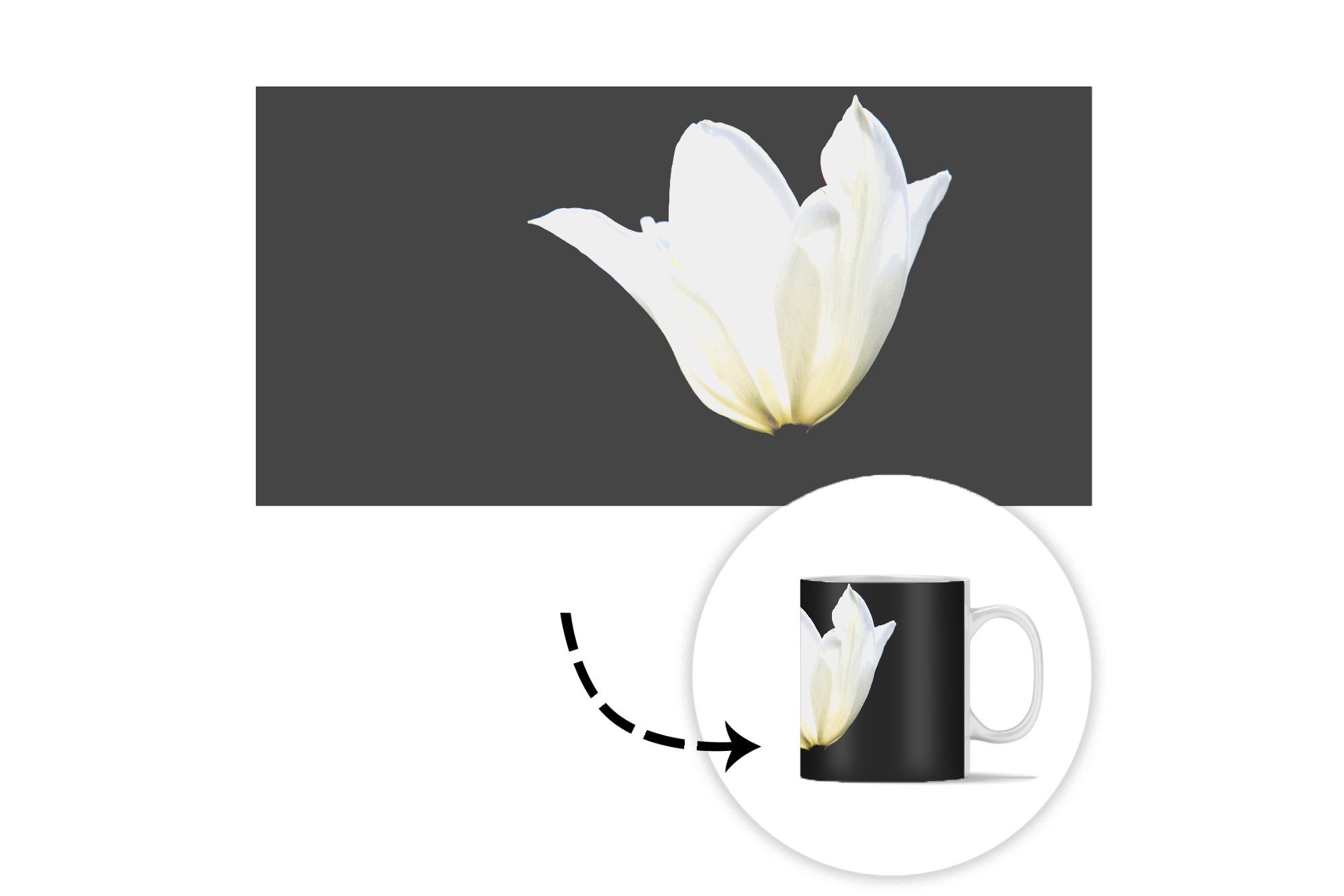 MuchoWow Tasse Weiße Tulpe, Teetasse, Keramik, Geschenk Teetasse, Becher, Kaffeetassen