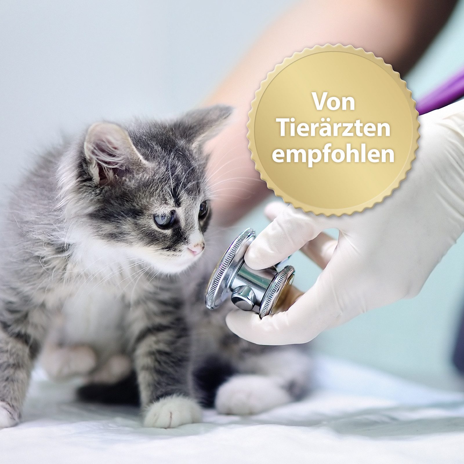 Felisept Katzenstreu Felisept Home Comfort Nachfüllflakon 45ml