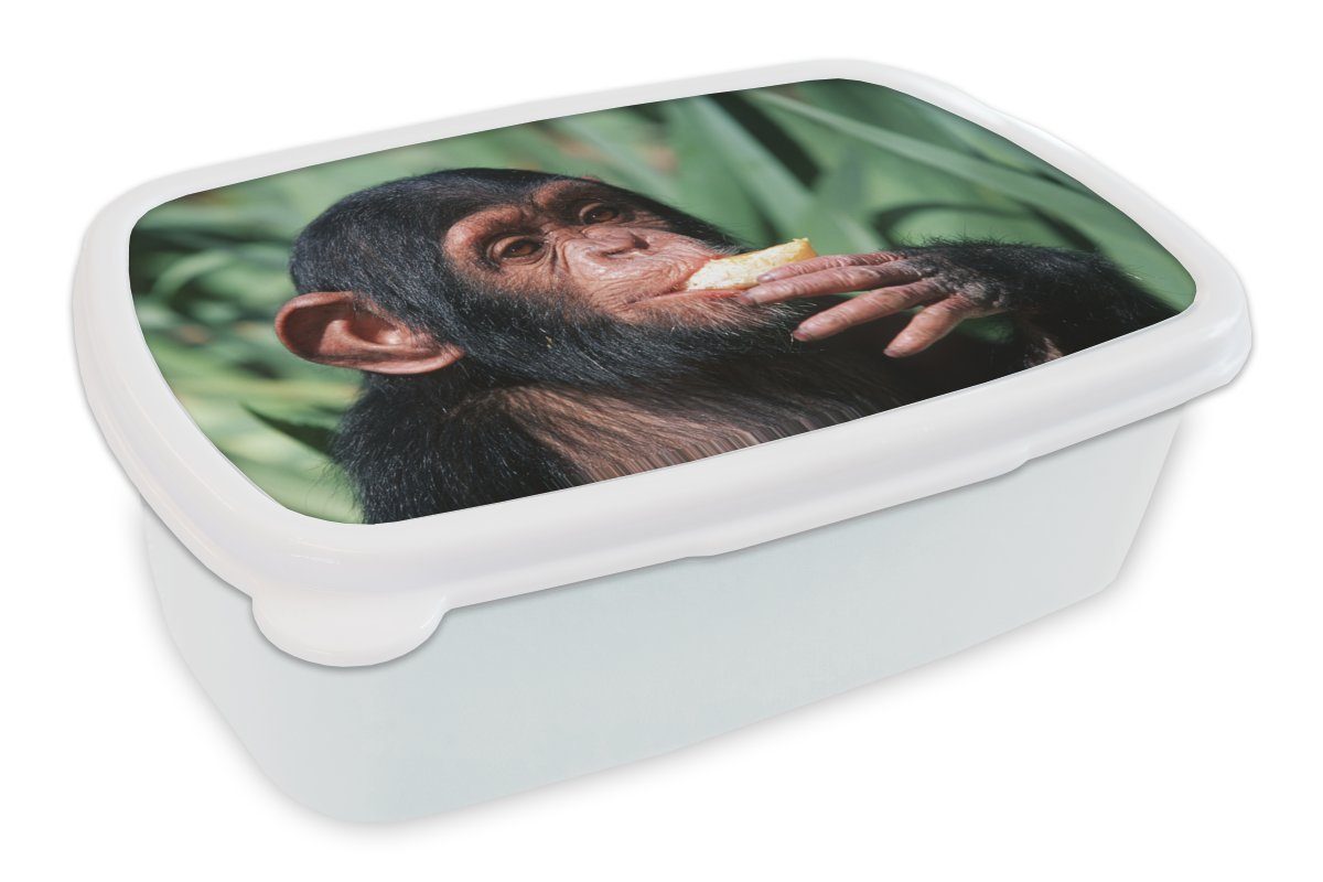 Absolut beliebt MuchoWow Lunchbox Nahaufnahme essender Schimpansen-Affe, (2-tlg), und und Erwachsene, Brotdose, Jungs Kunststoff, für weiß Kinder Brotbox Mädchen für