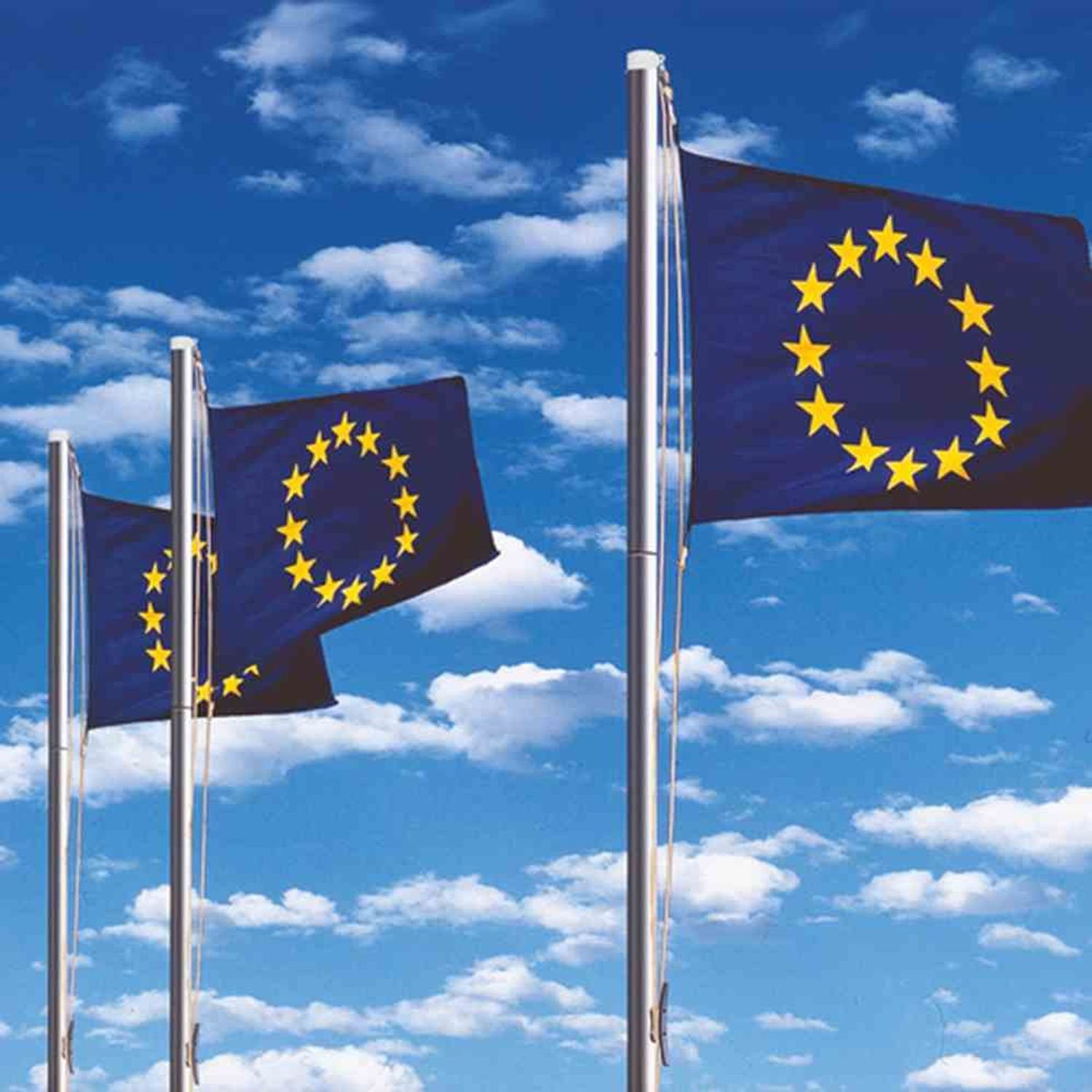 Alberts Möbelbeschlag Fahnenmast Alu mit Bodenhülse Ø 50 mm Länge: 6,20 m