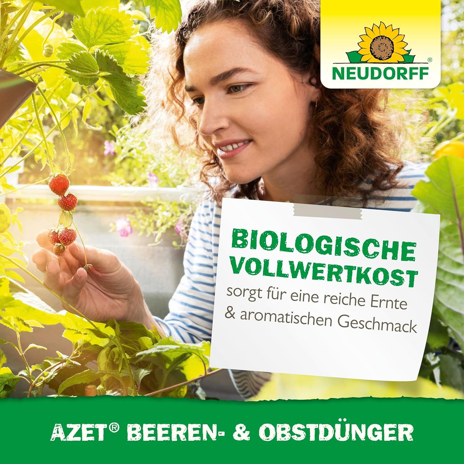 Neudorff Obstdünger Azet Beeren- & ObstDünger 2,5 kg, organischer Langzeitdünger mit Sofort- & Langzeitwirkung, Himbeer & Erdbeer Dünger aus natürlichen Rohstoffen