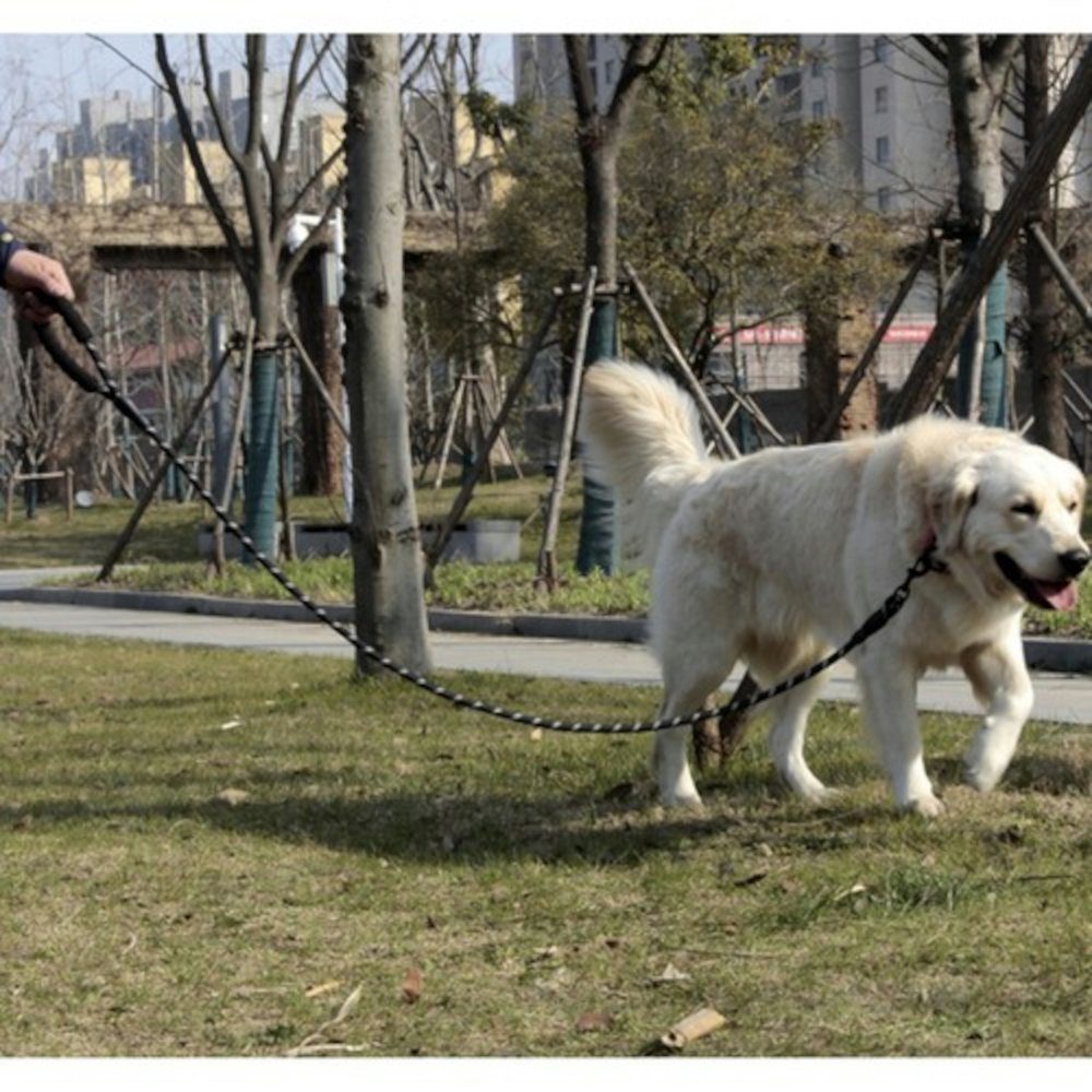 Purlov Hundeleine Reflektierende Leine 5 m, Polypropylen (Führleine 5 m Hunde Leine Trainingsleine, 2-tlg., schwarz Reflektiert 5 Meter), Reflektierende Hundeleine gepolstert