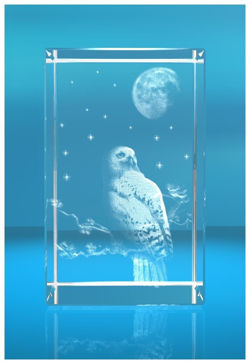 VIP-LASER Dekofigur 3D Glasquader Motiv: Eule, Hochwertige Geschenkbox, Made in Germany, Familienbetrieb
