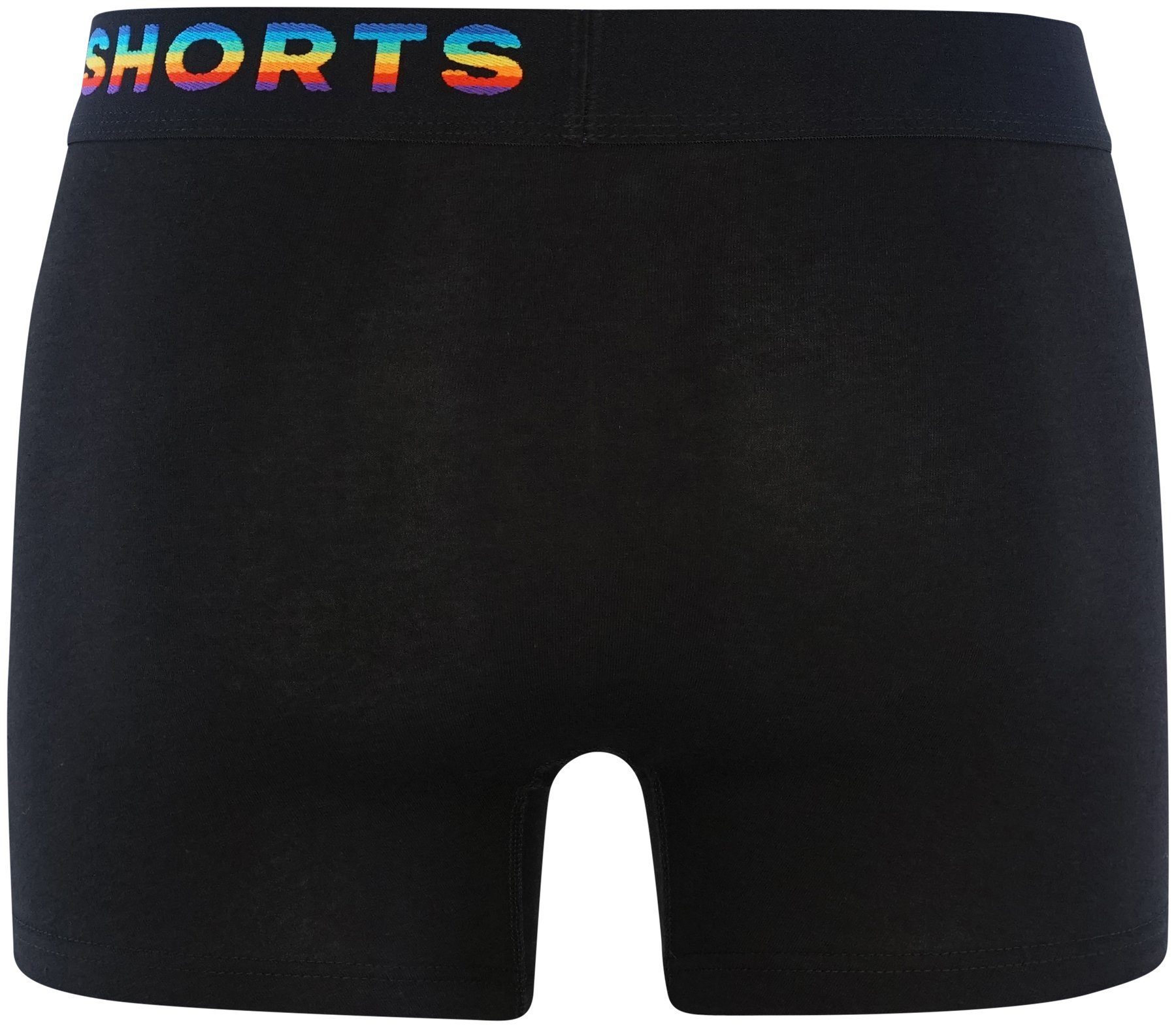 HAPPY SHORTS Retro Pants 2-Pack Trunks Rainbow Stripes