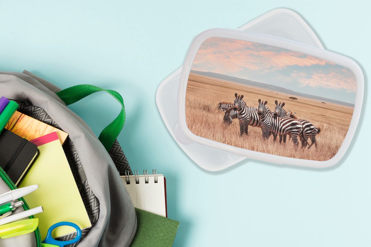 MuchoWow Lunchbox Zebras auf Lande, und für Erwachsene, weiß dem und Mädchen Brotbox Brotdose, Kunststoff, Jungs (2-tlg), für Kinder