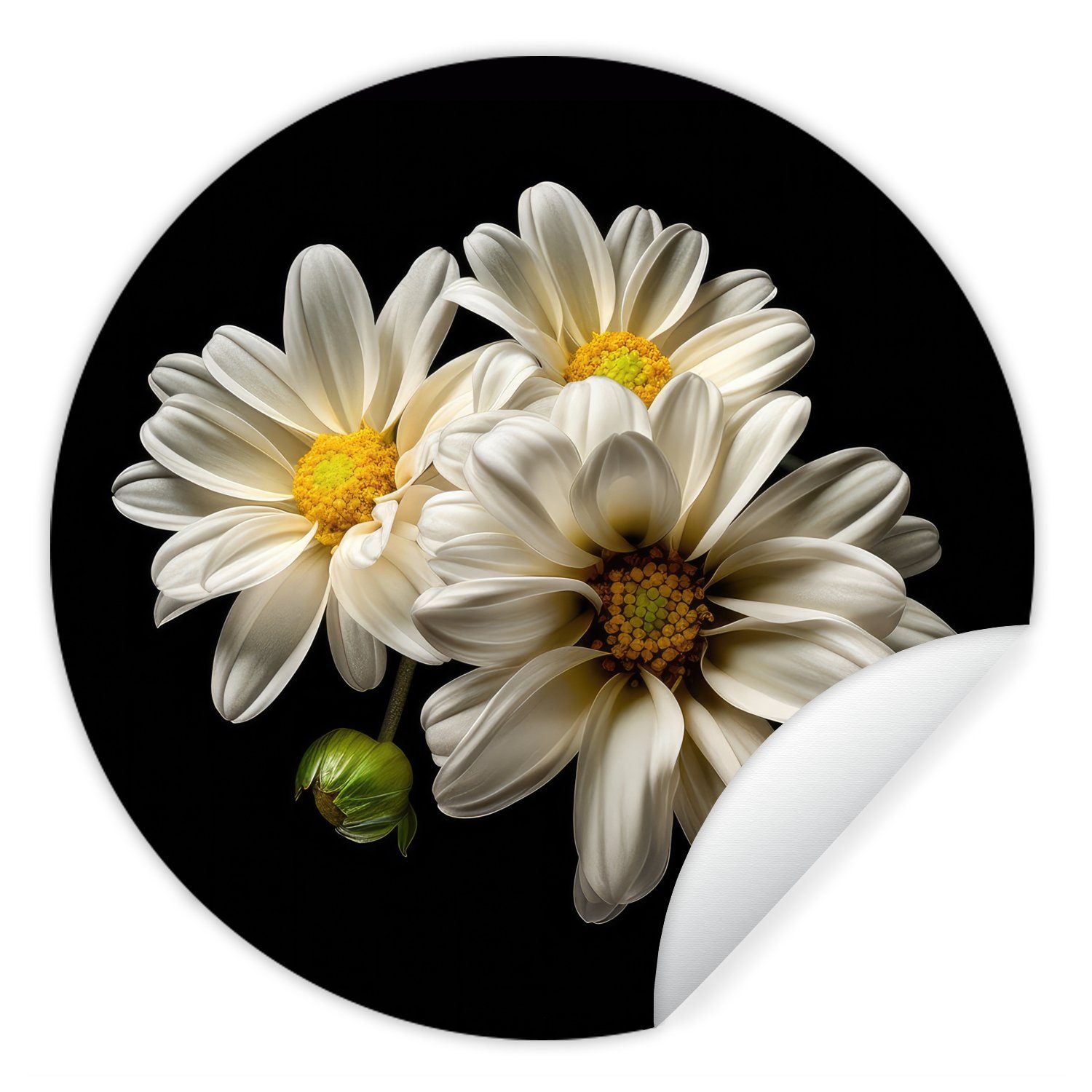 MuchoWow Wandsticker Blumen - Gänseblümchen - Weiß - Botanisch - Natur (1 St), Tapetenkreis für Kinderzimmer, Tapetenaufkleber, Rund, Wohnzimmer
