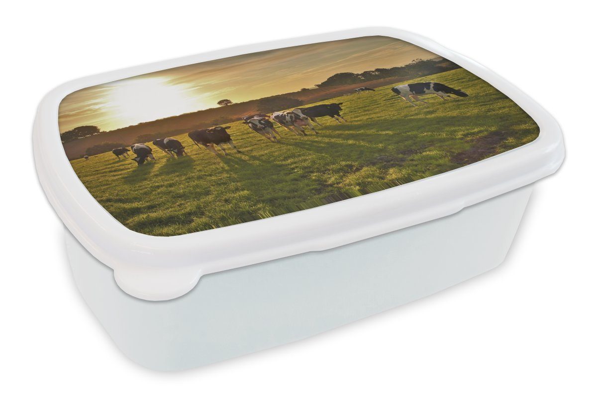 MuchoWow Lunchbox Kühe - Sonne - Licht, Kunststoff, (2-tlg), Brotbox für Kinder und Erwachsene, Brotdose, für Jungs und Mädchen weiß | Lunchboxen