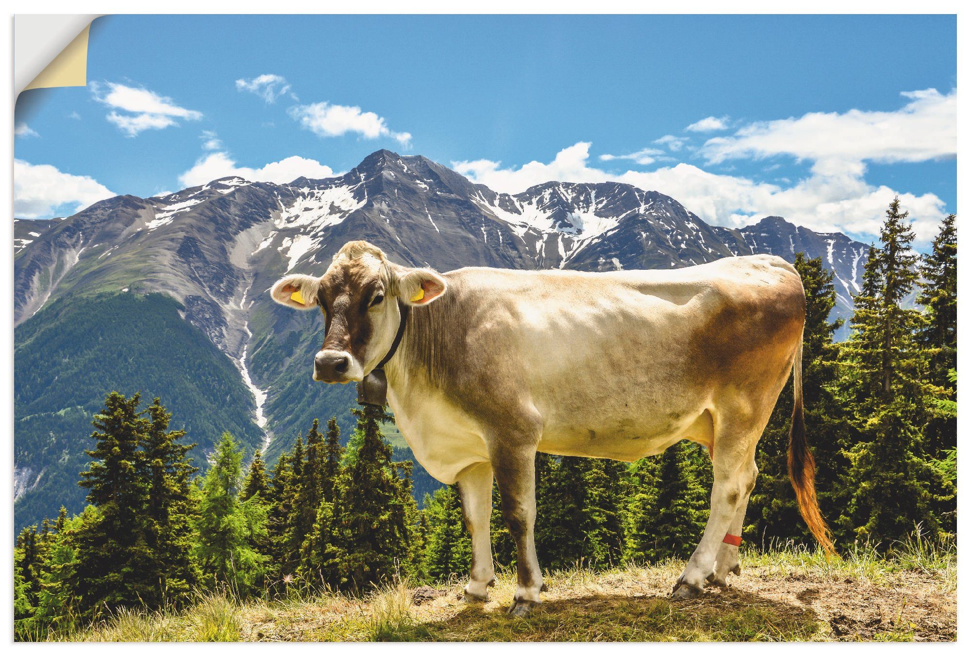 Artland Wandbild Bergkuh in den Alpen im Sommer, Haustiere (1 St), als Alubild, Leinwandbild, Wandaufkleber oder Poster in versch. Größen