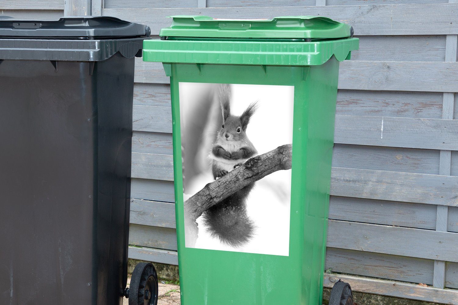 im Sticker, - Winter MuchoWow Ast Mülltonne, (1 Container, und weiß auf einem Mülleimer-aufkleber, St), Ein Wandsticker schwarz Abfalbehälter Eichhörnchen