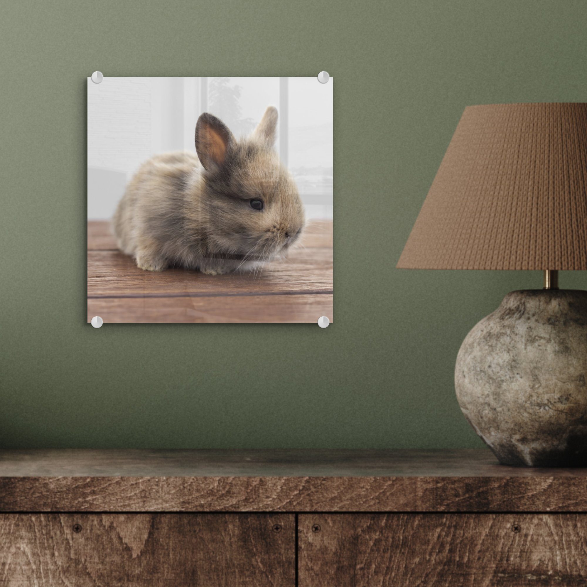 MuchoWow Acrylglasbild Baby auf Wandbild - Wanddekoration Holz, Bilder - (1 Glas Kaninchen St), Foto - - - auf Glas Glasbilder
