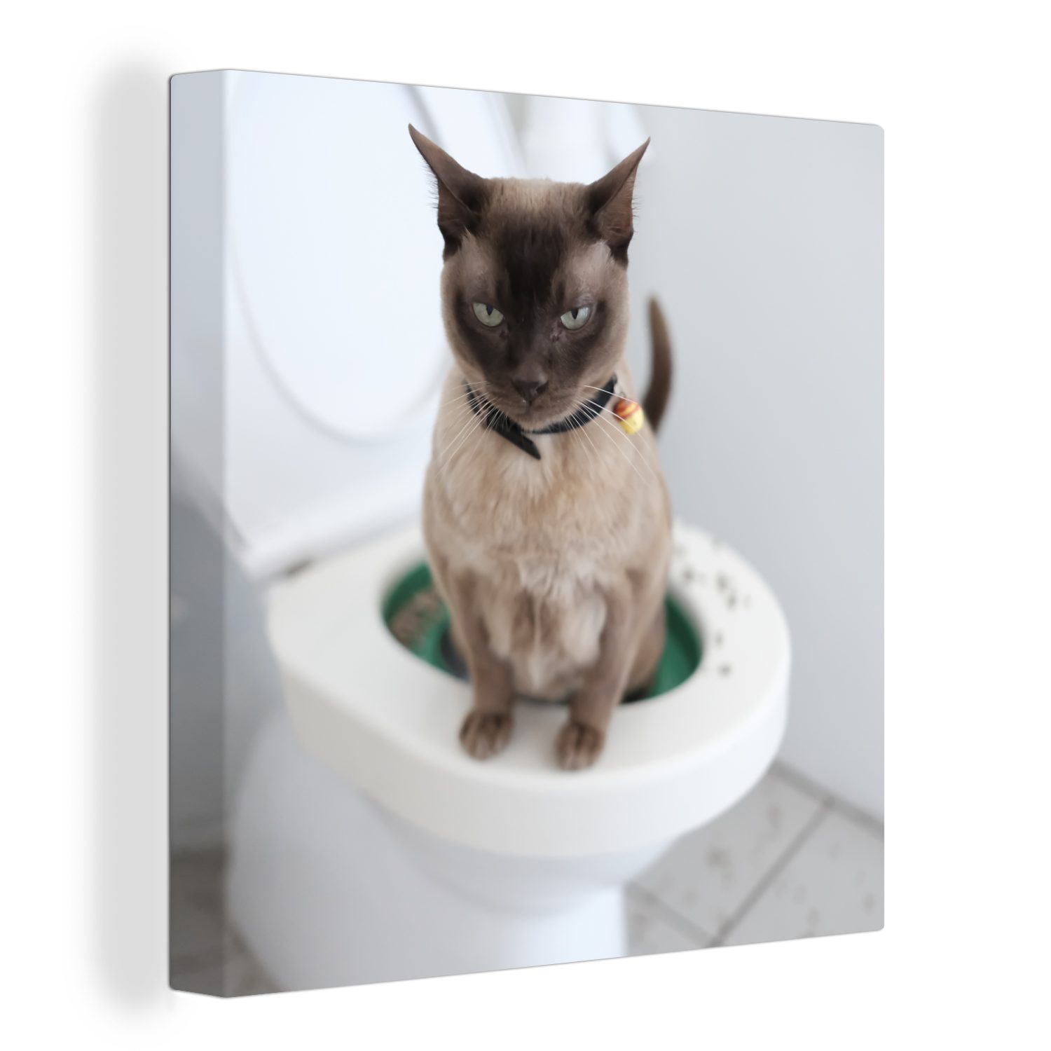 für Schlafzimmer (1 Toilette, Bilder Leinwand Katze St), auf Wohnzimmer sitzt Leinwandbild OneMillionCanvasses® der birmanische Eine