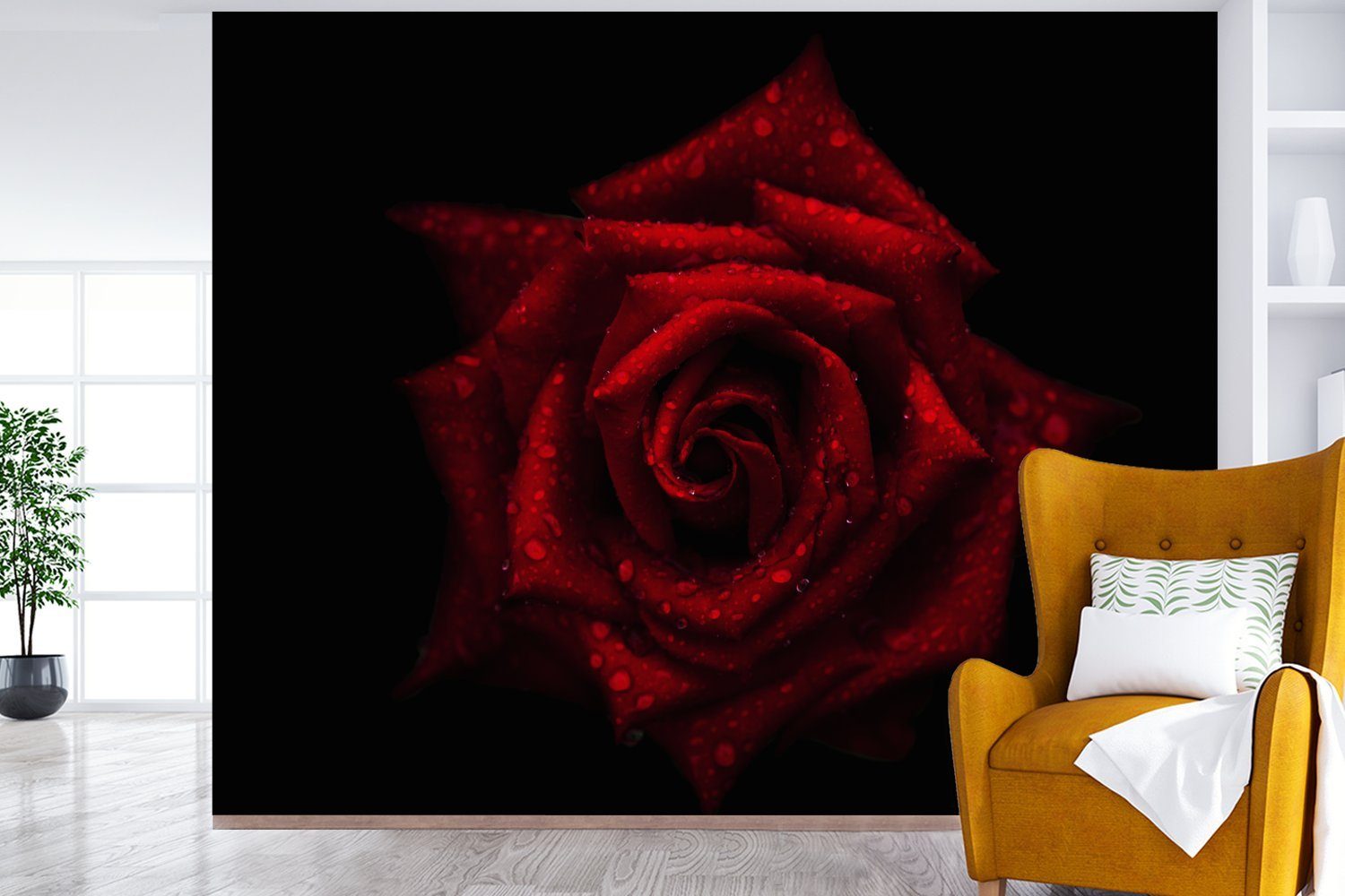 Wohnzimmer, schwarzem Hintergrund, für Rosenblüten vor Vinyl Montagefertig St), Matt, Die Wandtapete Fototapete (5 feuchten Tapete MuchoWow bedruckt,