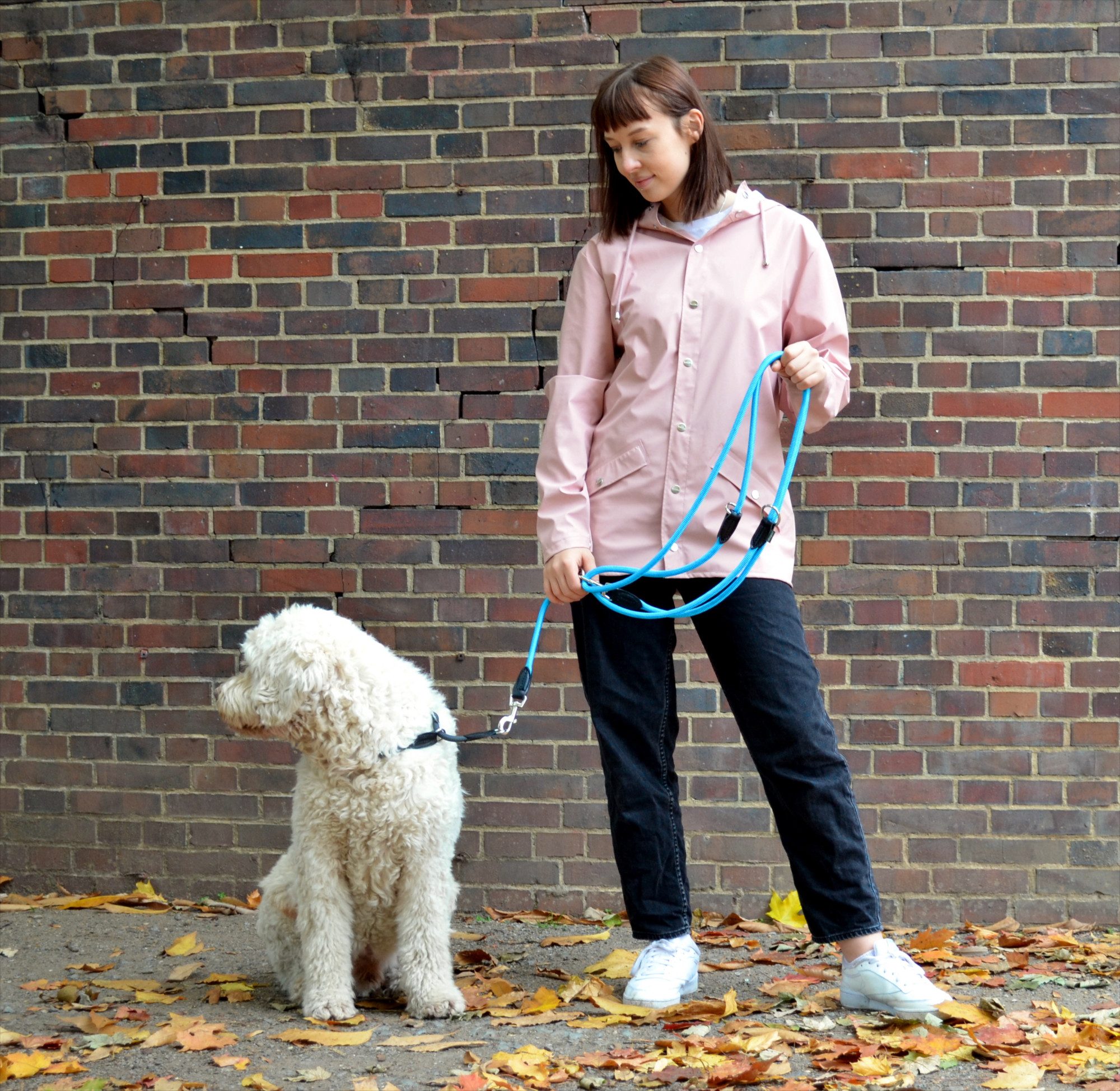 Leisegrün Hundeleine für große Hunde, 3m, 3-fach verstellbar, Nylon, Doppelleine für 2 Hunde, Führleine, Freihandleine, Trainingsleine – Bild 3 von 5