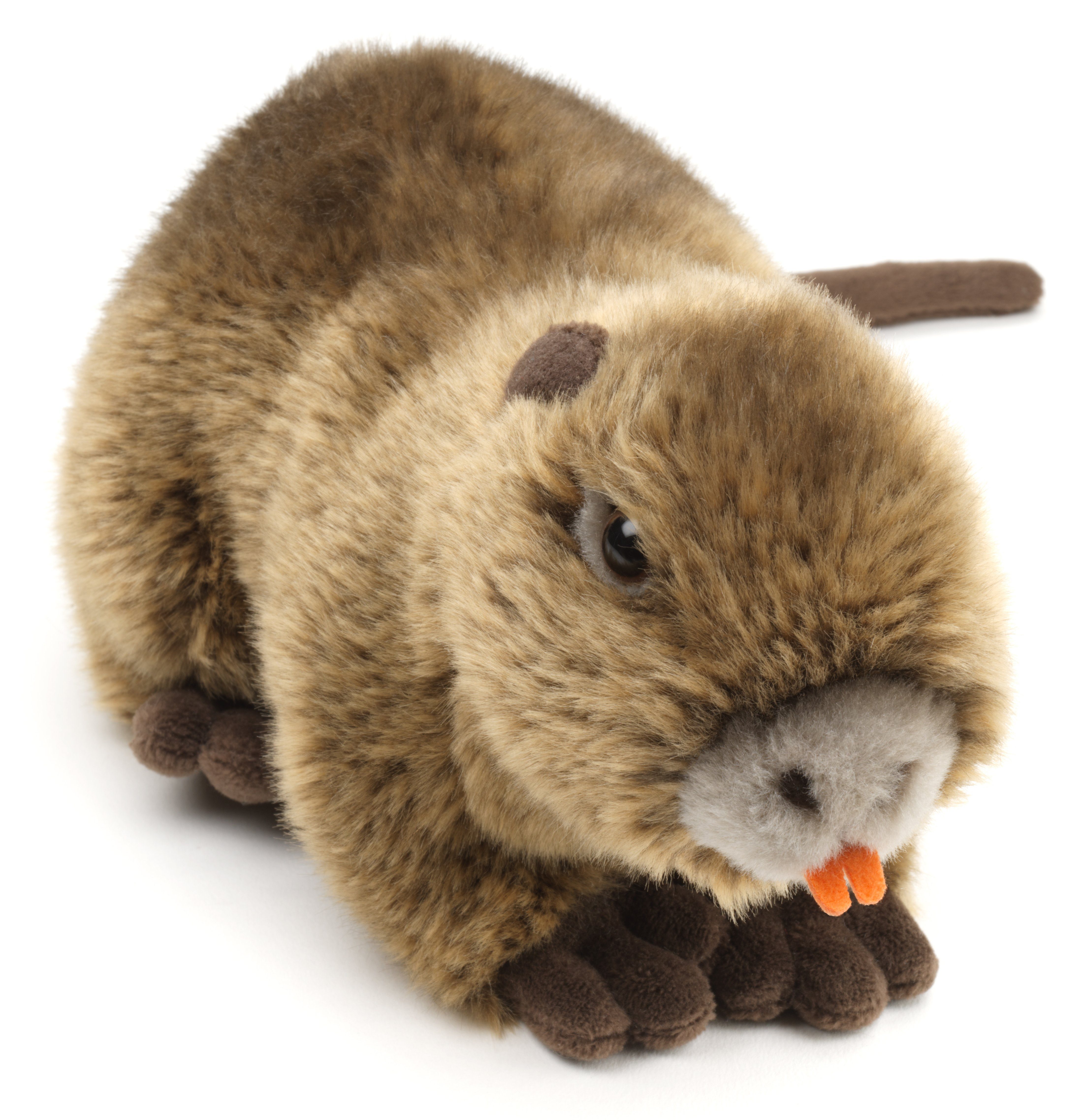 - zu Plüschtier, cm Nutria Sumpfotter % - recyceltes 100 - Uni-Toys Plüsch-Biberratte, 22 (Länge) Füllmaterial Kuscheltier