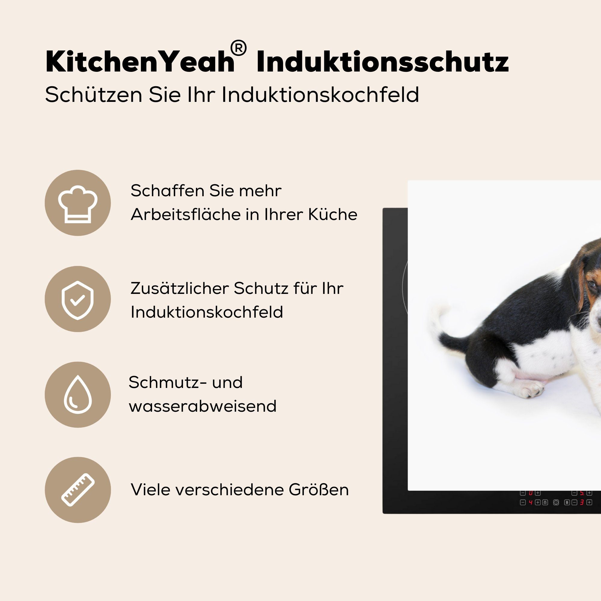 MuchoWow Herdblende-/Abdeckplatte Welpe tlg), (1 78x78 - Ceranfeldabdeckung, küche Beagle cm, Braun - Weiß, Vinyl, für Arbeitsplatte 