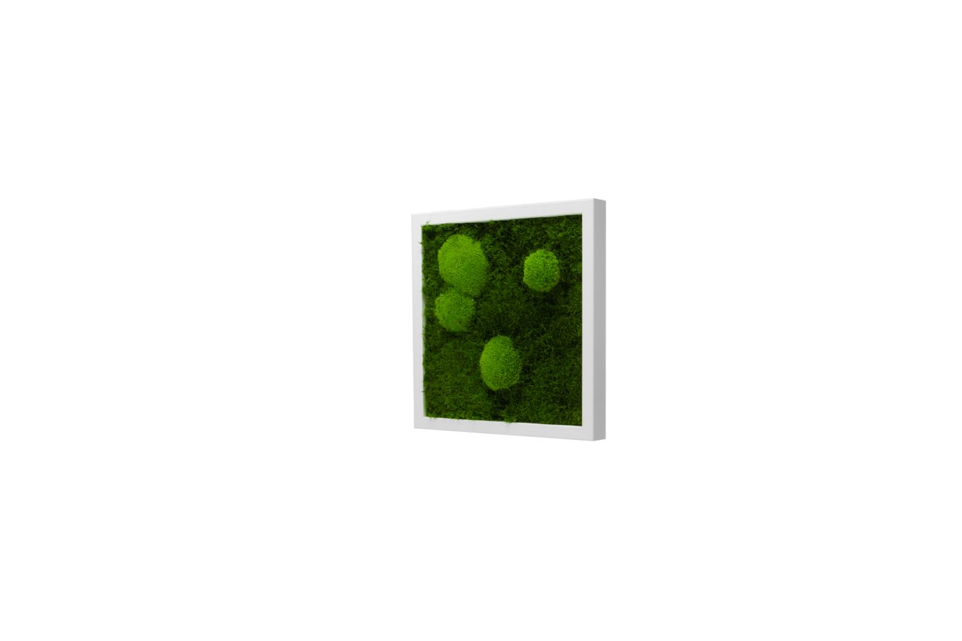 Moos-Design Bilderrahmen Moos Bild Forest Design günstig online kaufen