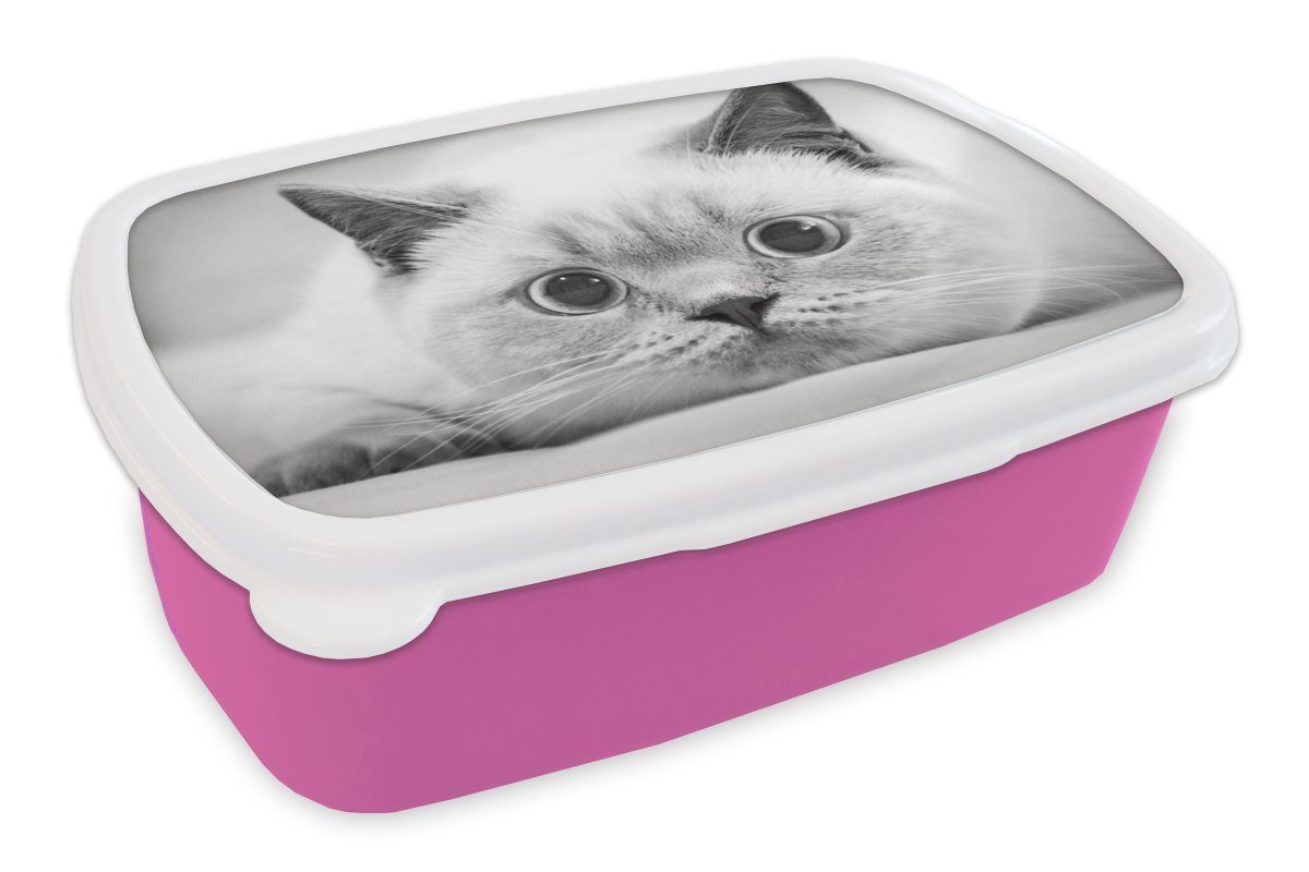 MuchoWow Lunchbox Britisch Kurzhaar Nahaufnahme für Snackbox, rosa und Brotbox Kunststoff Erwachsene, - Brotdose schwarz Kunststoff, Mädchen, weiß, (2-tlg), Kinder