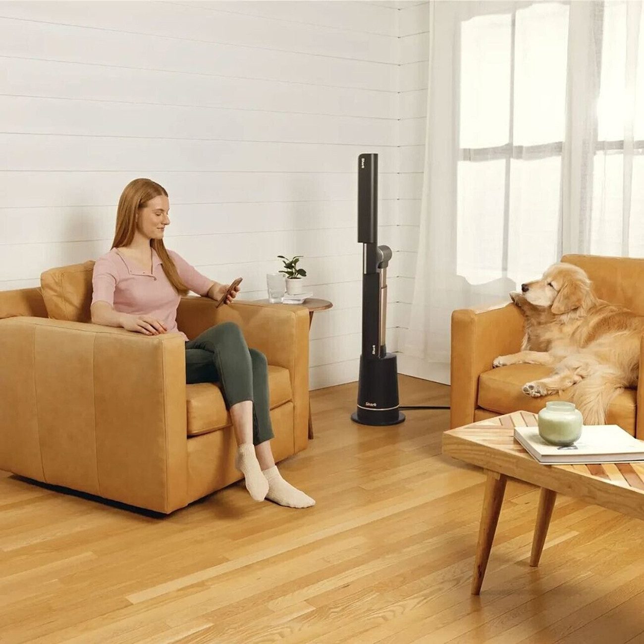 Shark Standventilator TurboBlade TF200SEU günstig online kaufen