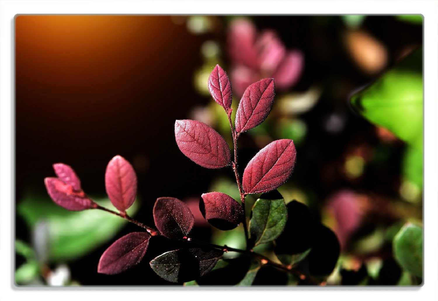 Blätter grüne 20x30cm 1-St), (inkl. rutschfester Wallario Gummifüße an Rote und einem Zweig, Frühstücksbrett 4mm,