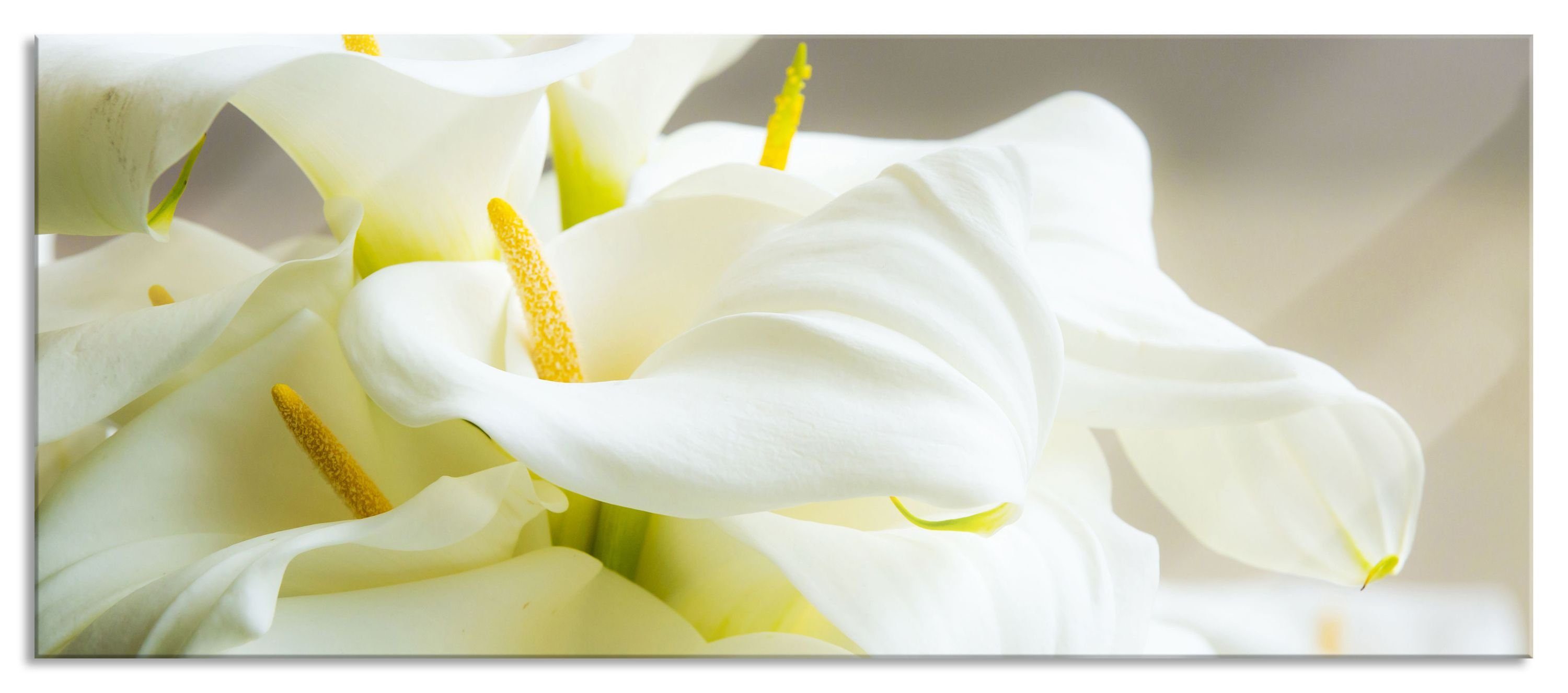 Pixxprint Glasbild Wunderschöne weiße Calla Lilien, Wunderschöne weiße Calla Lilien (1 St), Glasbild aus Echtglas, inkl. Aufhängungen und Abstandshalter
