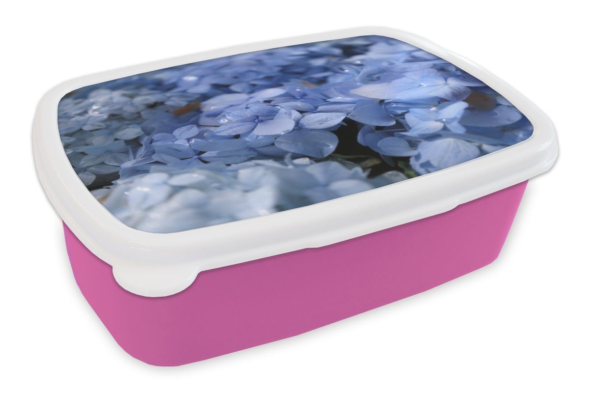 MuchoWow Lunchbox Blaue Hortensien (2-tlg), Kunststoff Snackbox, Brotdose Wassertropfen, mit für Brotbox Kunststoff, rosa Mädchen, Erwachsene, Kinder