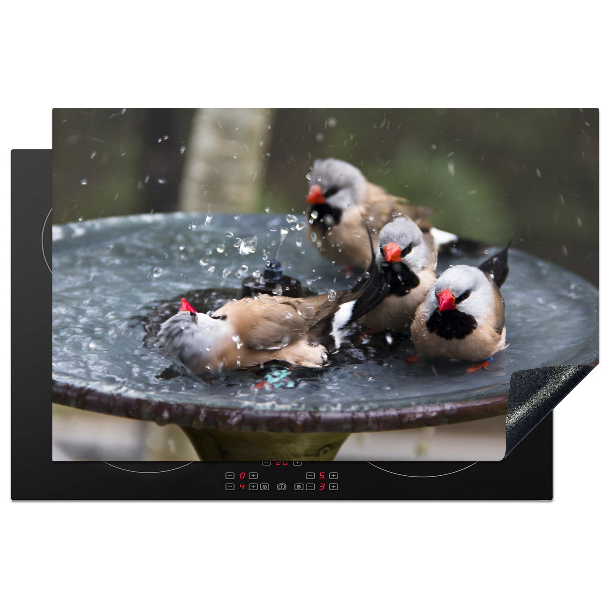 MuchoWow Herdblende-/Abdeckplatte Vogeltränke 81x52 (1 Vinyl, tlg), Induktionskochfeld cm, Vogel, küche, für - Schutz Wasser die Ceranfeldabdeckung 