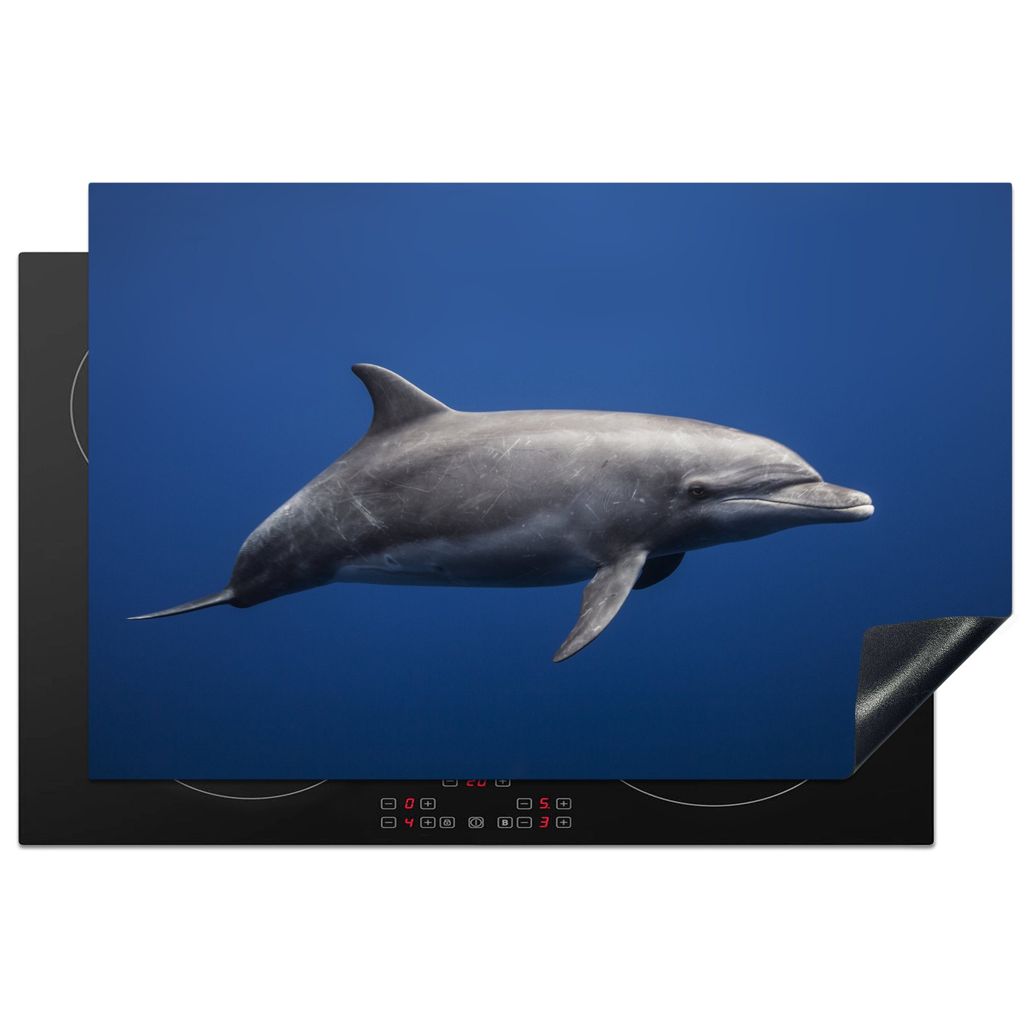 MuchoWow Herdblende-/Abdeckplatte Delfin - Meer - Blau, Vinyl, (1 tlg), 81x52 cm, Induktionskochfeld Schutz für die küche, Ceranfeldabdeckung