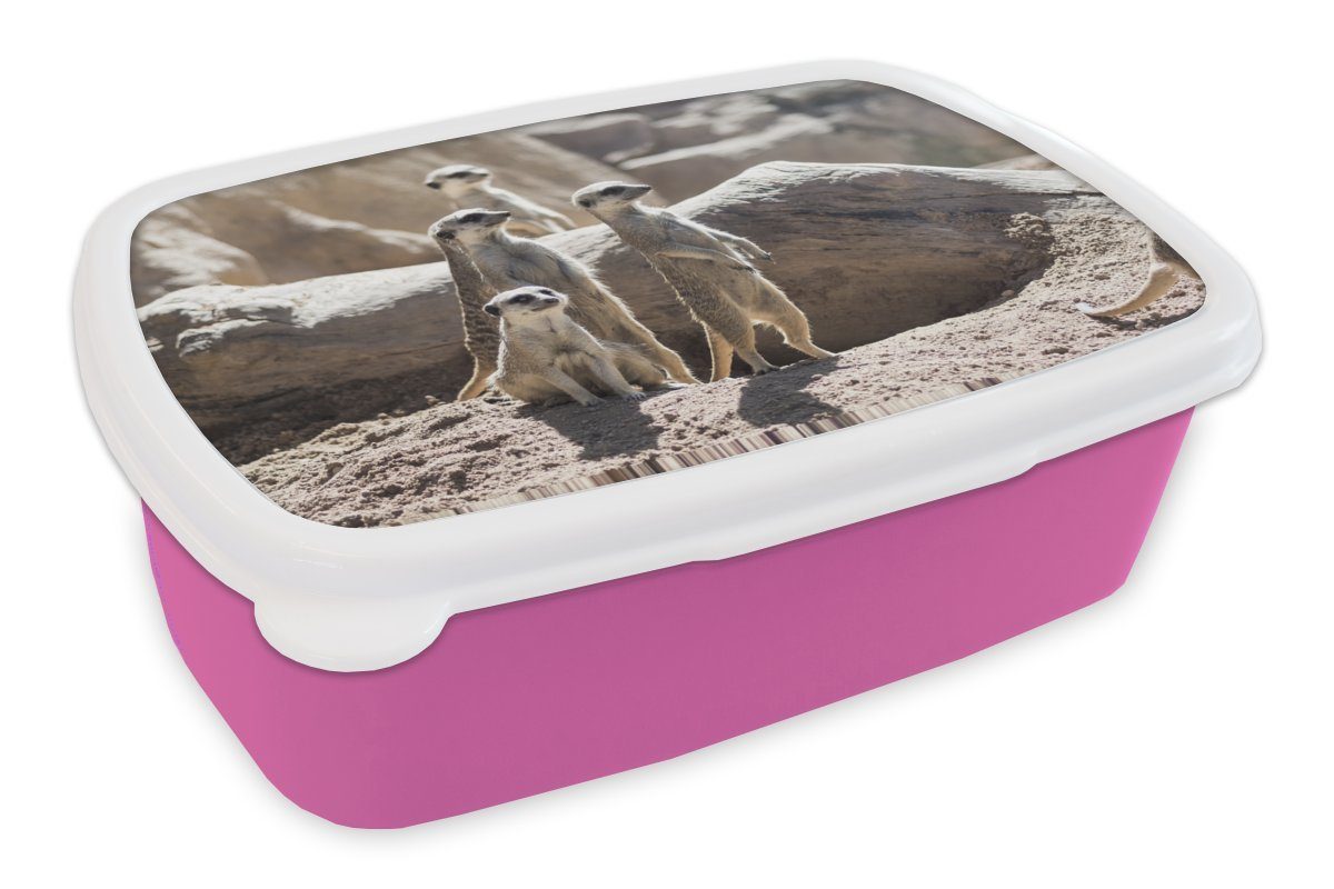 Tiere, Mädchen, rosa Kunststoff, (2-tlg), - für Snackbox, MuchoWow - Erdmännchen Erwachsene, Brotdose Lunchbox Brotbox Familie Kunststoff Kinder,