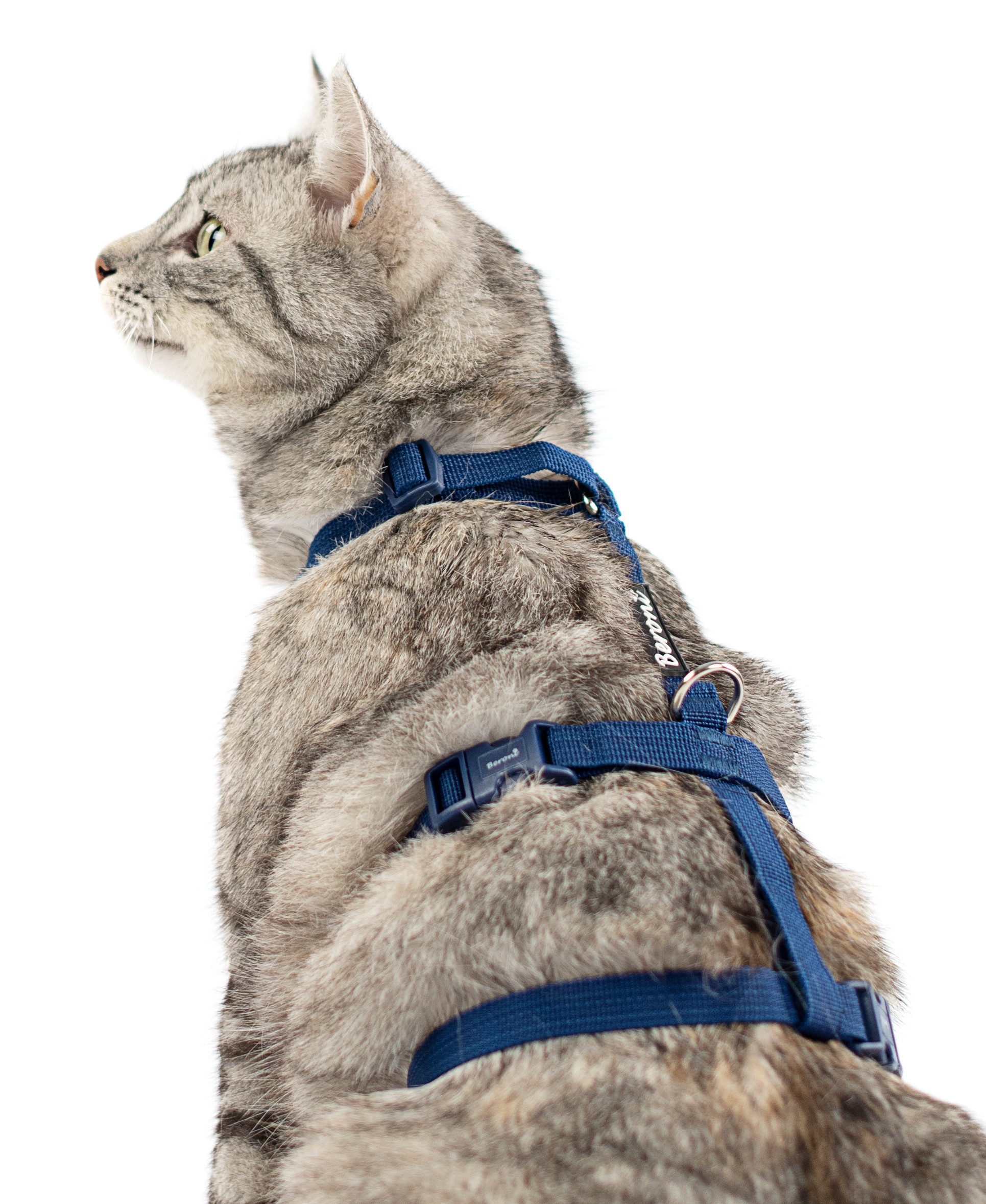 Beroni Sicherheitsgeschirr Katzengeschirr Safety Harness Classic ausbruchsicher verstellbar, Leine separat erhältlich, Katzen-Geschirr, für kleine und große Katzen