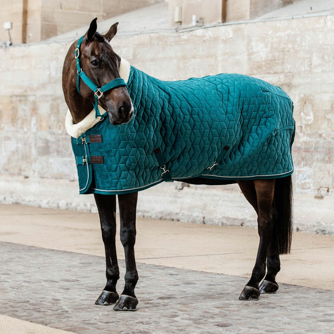Kentucky Horsewear Pferde-Stalldecke Kentucky Horsewear Turnierdecke Samt 160g Tiny - Smaragd