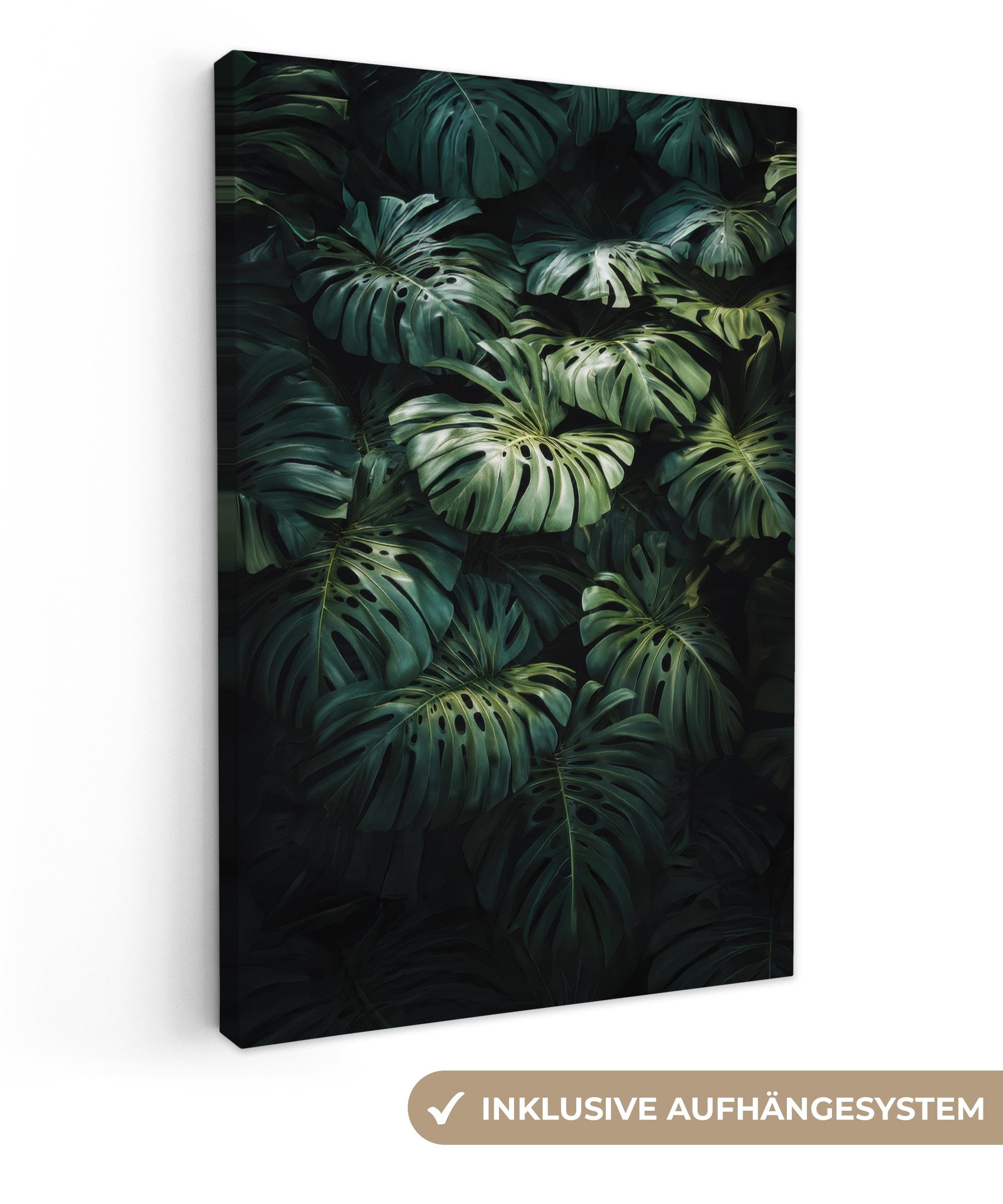 OneMillionCanvasses® Leinwandbild Pflanze - Monstera - günstig online kaufen