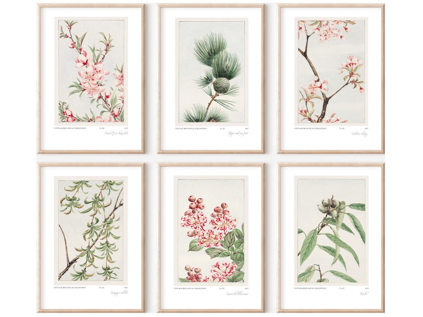 homestyle-accessoires Плакат Изображения Wandbilder Художественные репродукции VINTAGE FLOWERS Prints 6er Set, - Ohne Изображенияrahmen - sorgfältige & sichere Verpackung